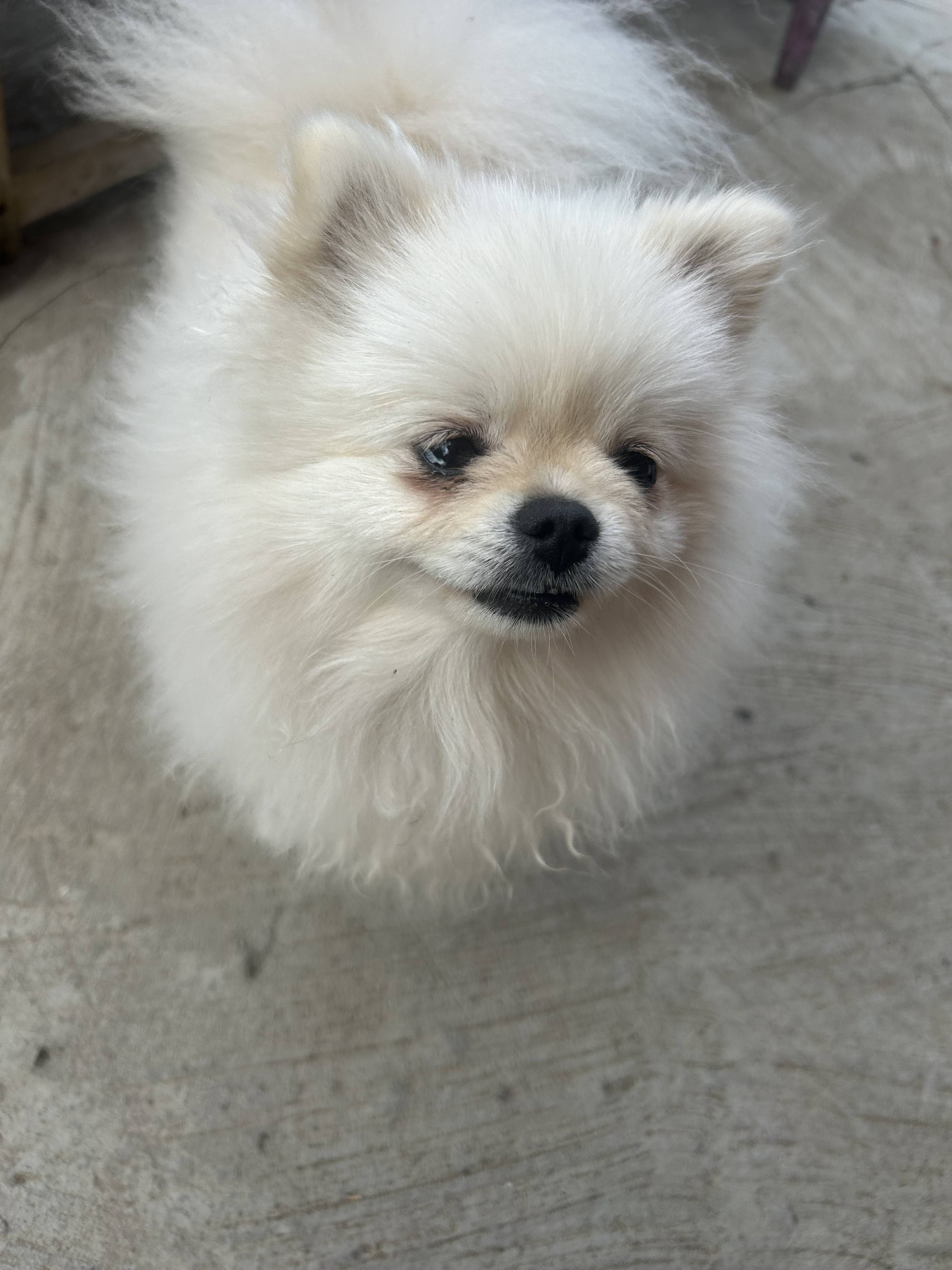 Добрый день. Прошу любую помощь финансовую.