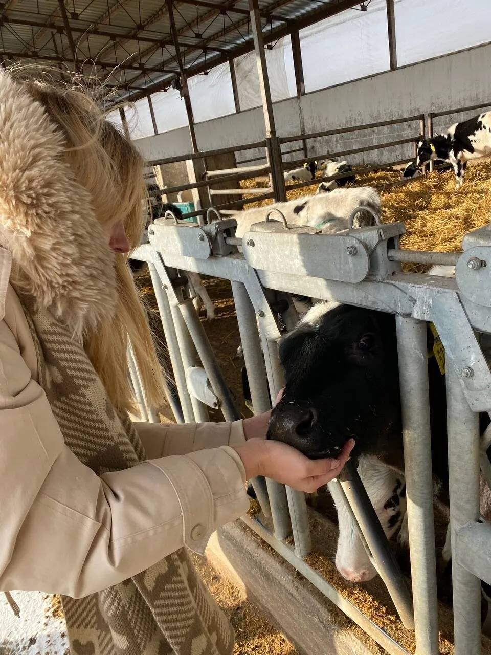 Здравствуйте! Меня зовут Анна