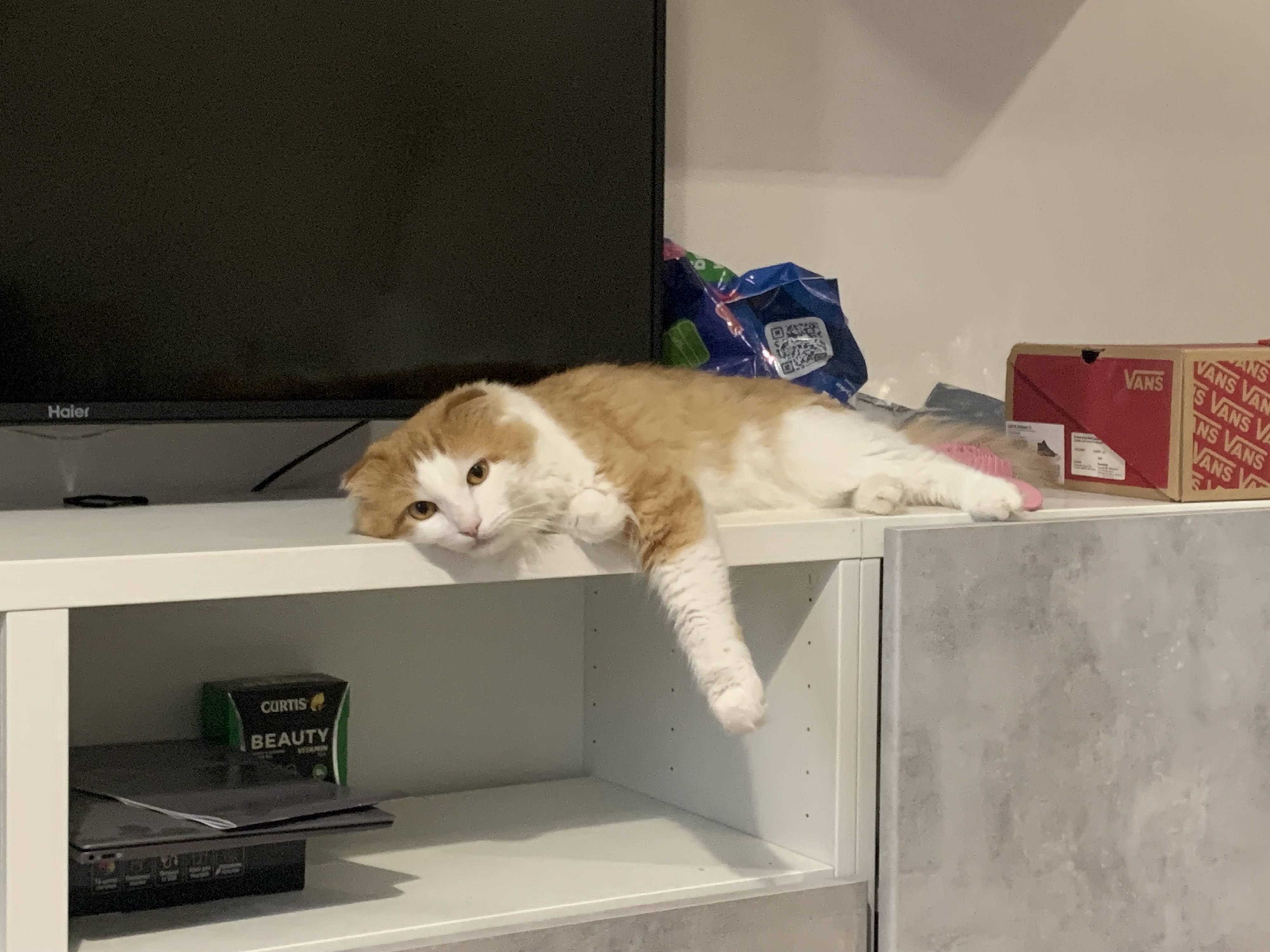 Помогите пожалуйста!