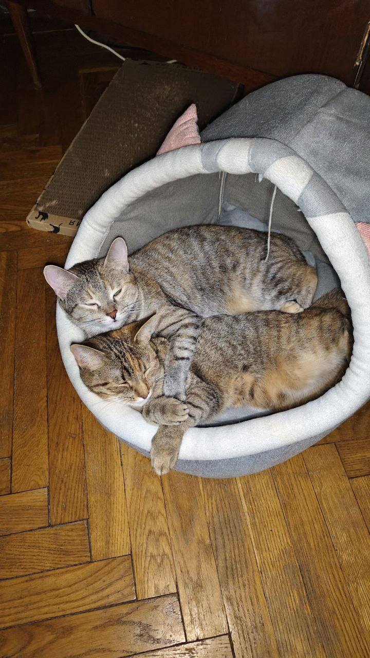 МЕЧТАЮ НЕ ПЕРЕЖИВАТЬ  О БУДУЩЕМ.