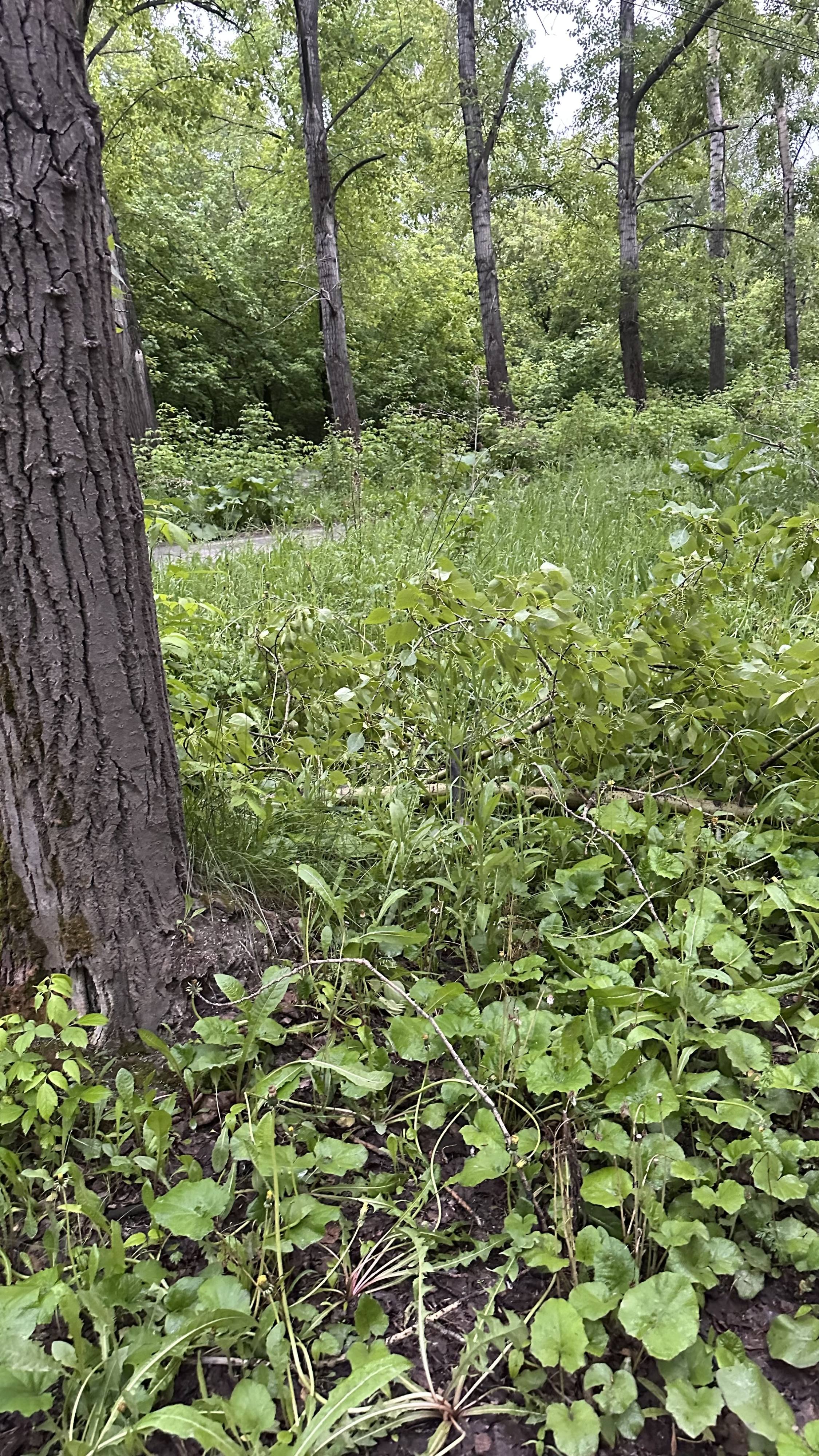 Помогите пожалуйста закрыть займы/кредиты нарвался