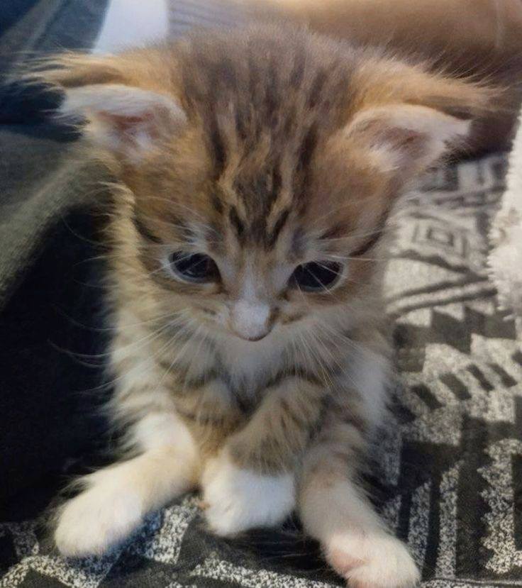 Помогите пожалуйста,не хватает на путевку в лагерь