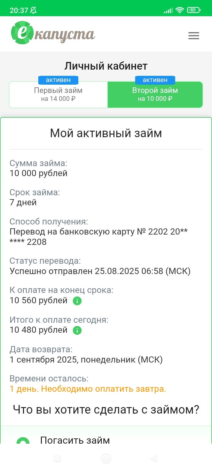 Оплатить займы