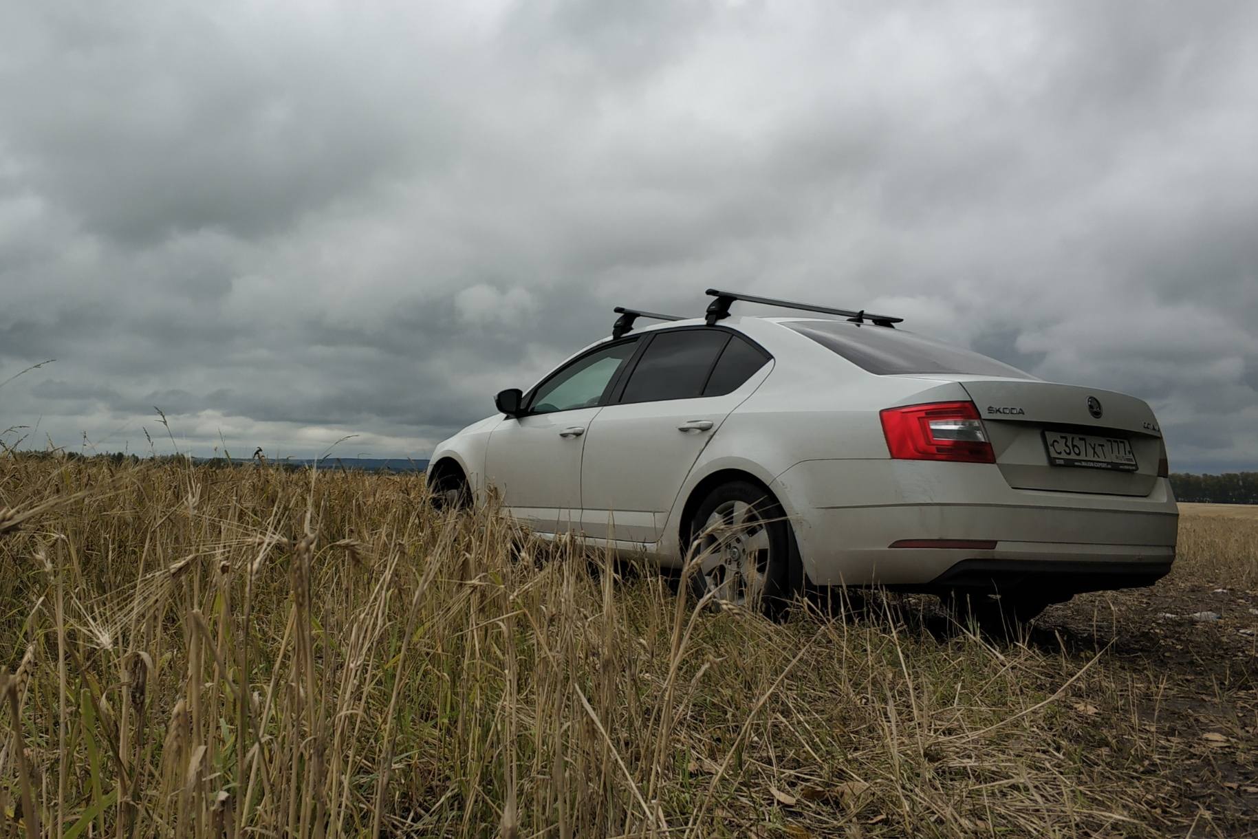 Я мечтаю о своей машине