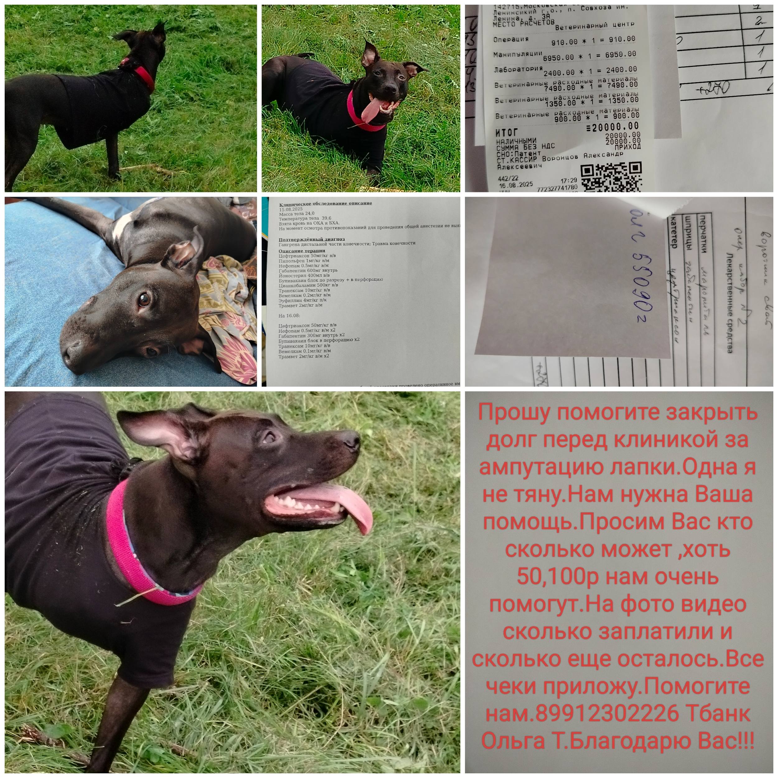 Прошу помогите закрыть долг перед клиникой.