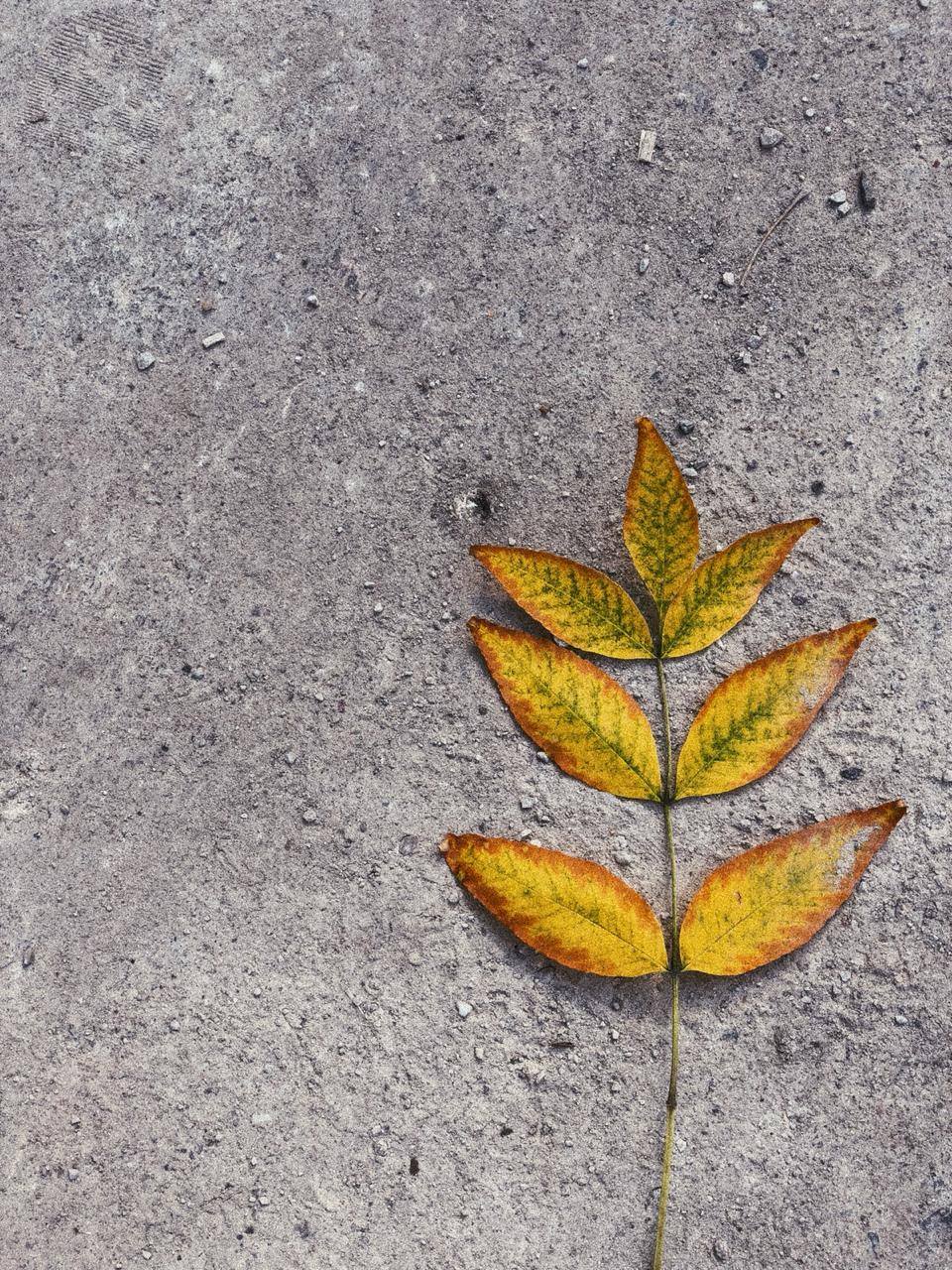 Помогите получить квалифицированную помощь.