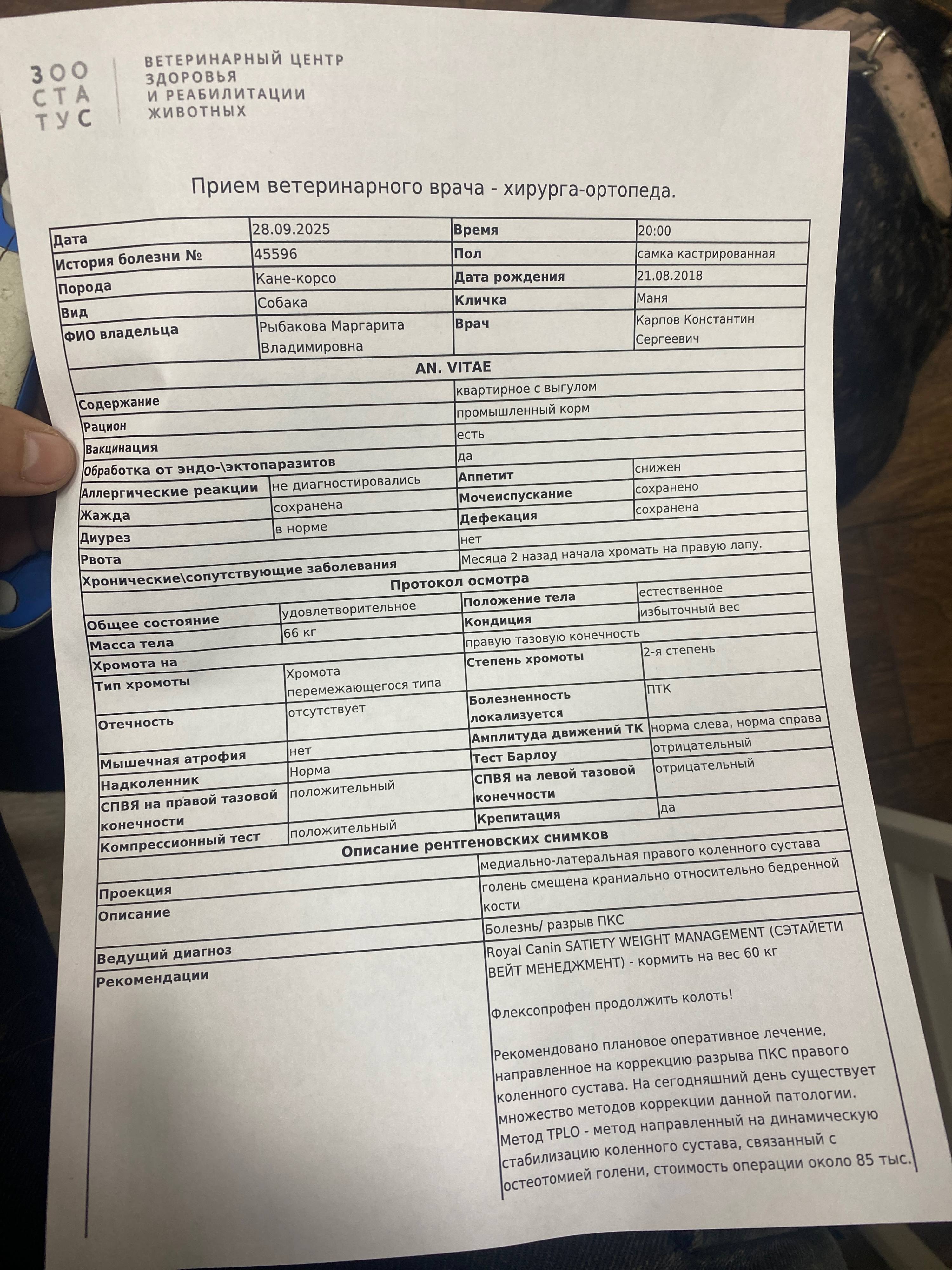 Помогите оплатить лечение собаке 🥺