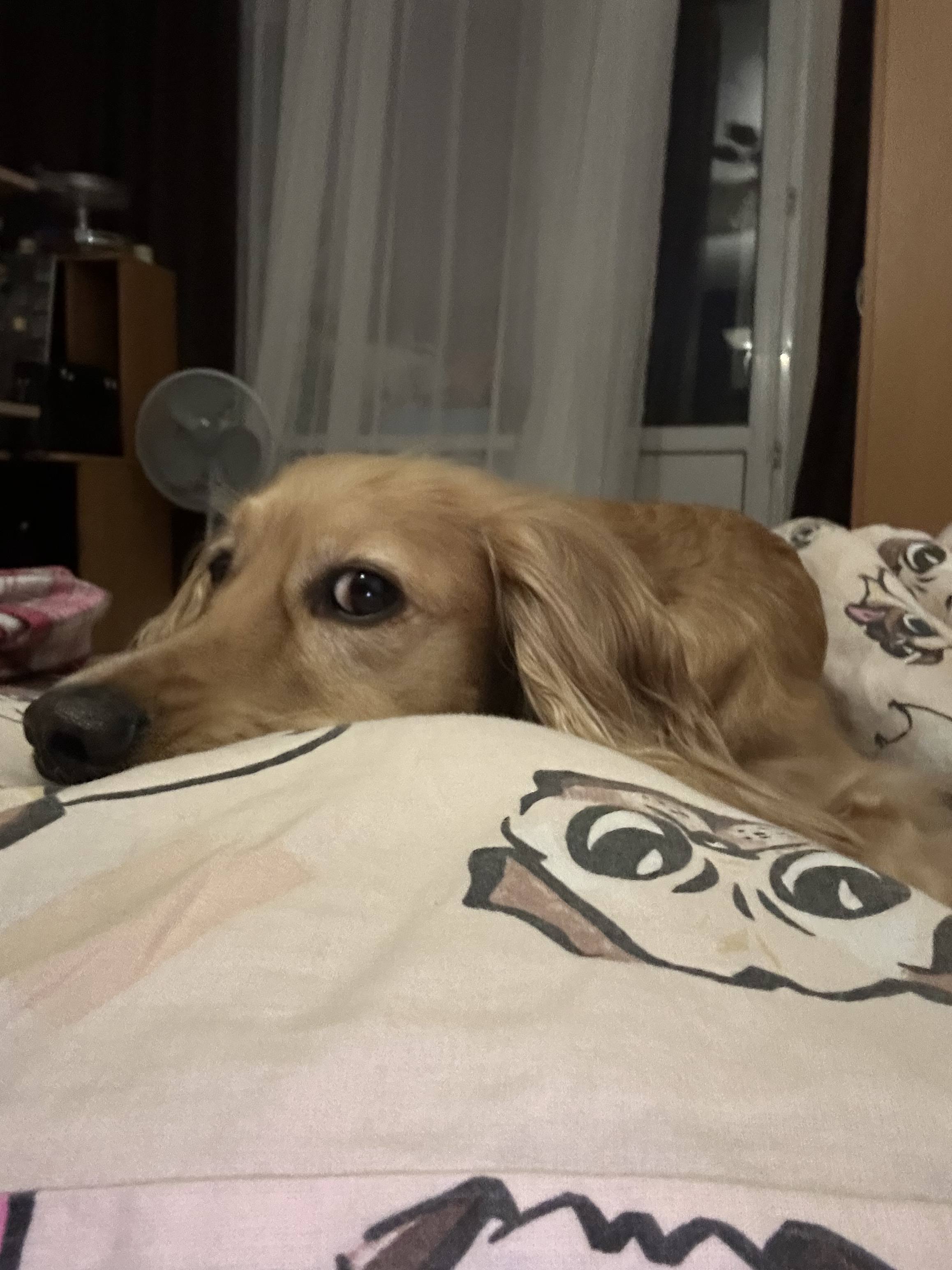 Хочу вылезти из долгов