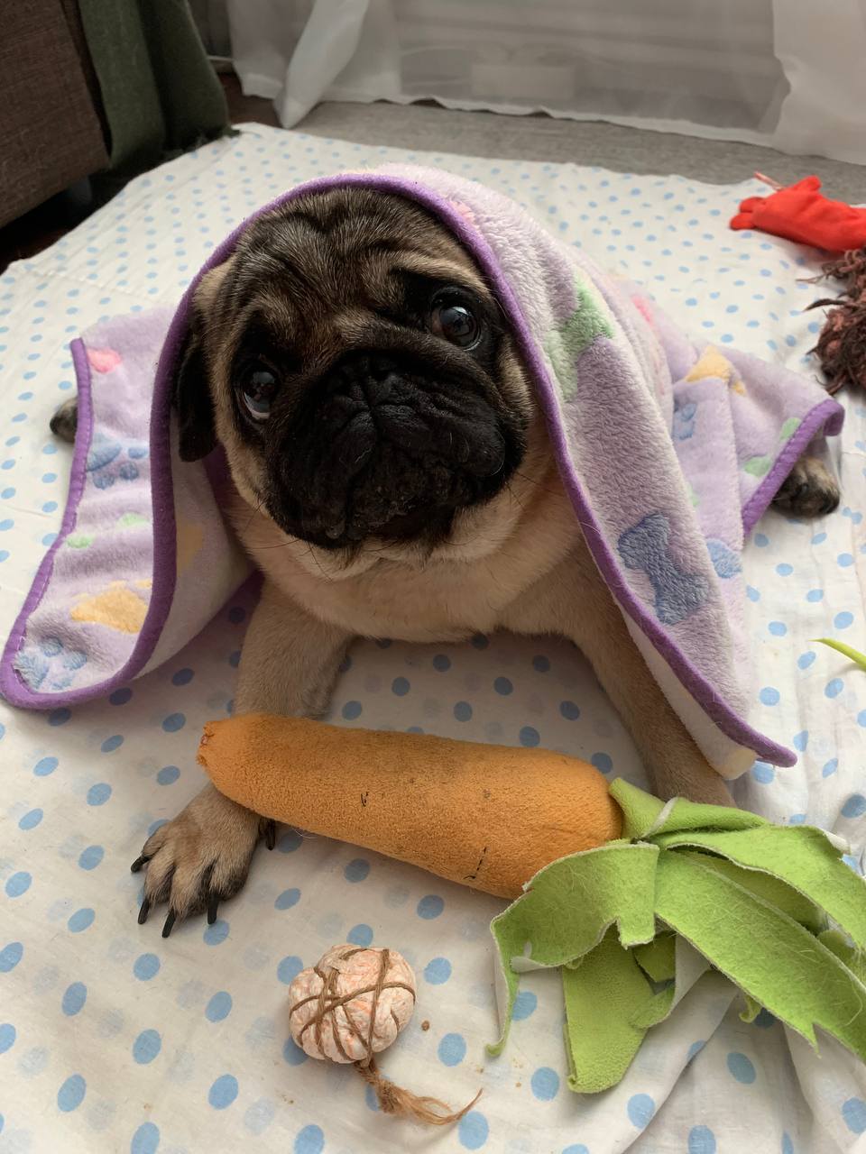 Помогите закрыть кредиты