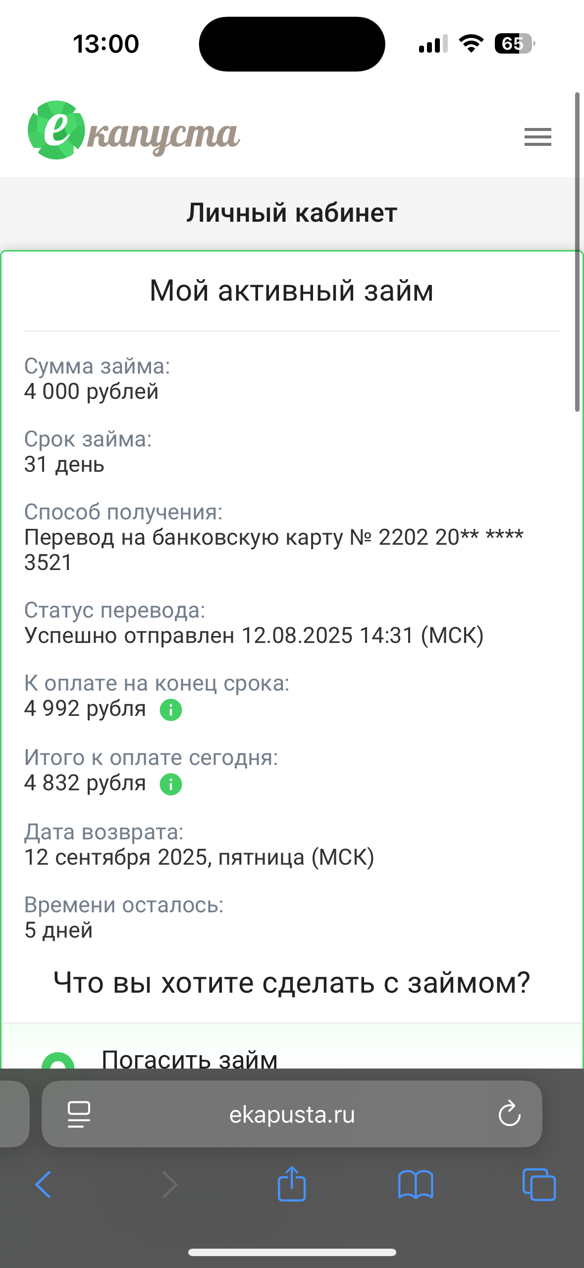 Помогите погасить мои долги пожалуйста
