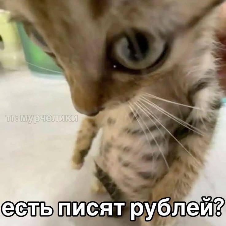 хочу купить новый телефон