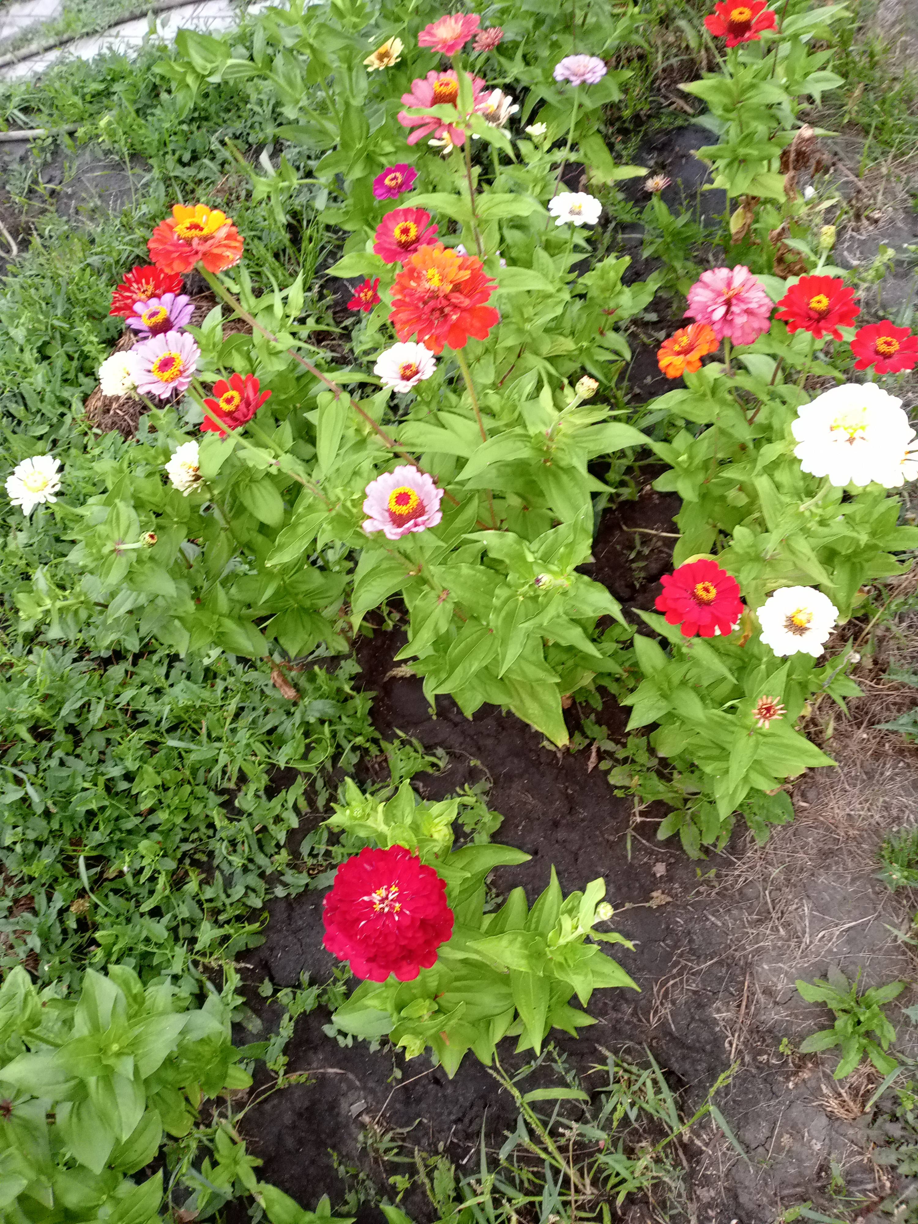 На лечение спины помогите пожалуйста, и выплаты кр