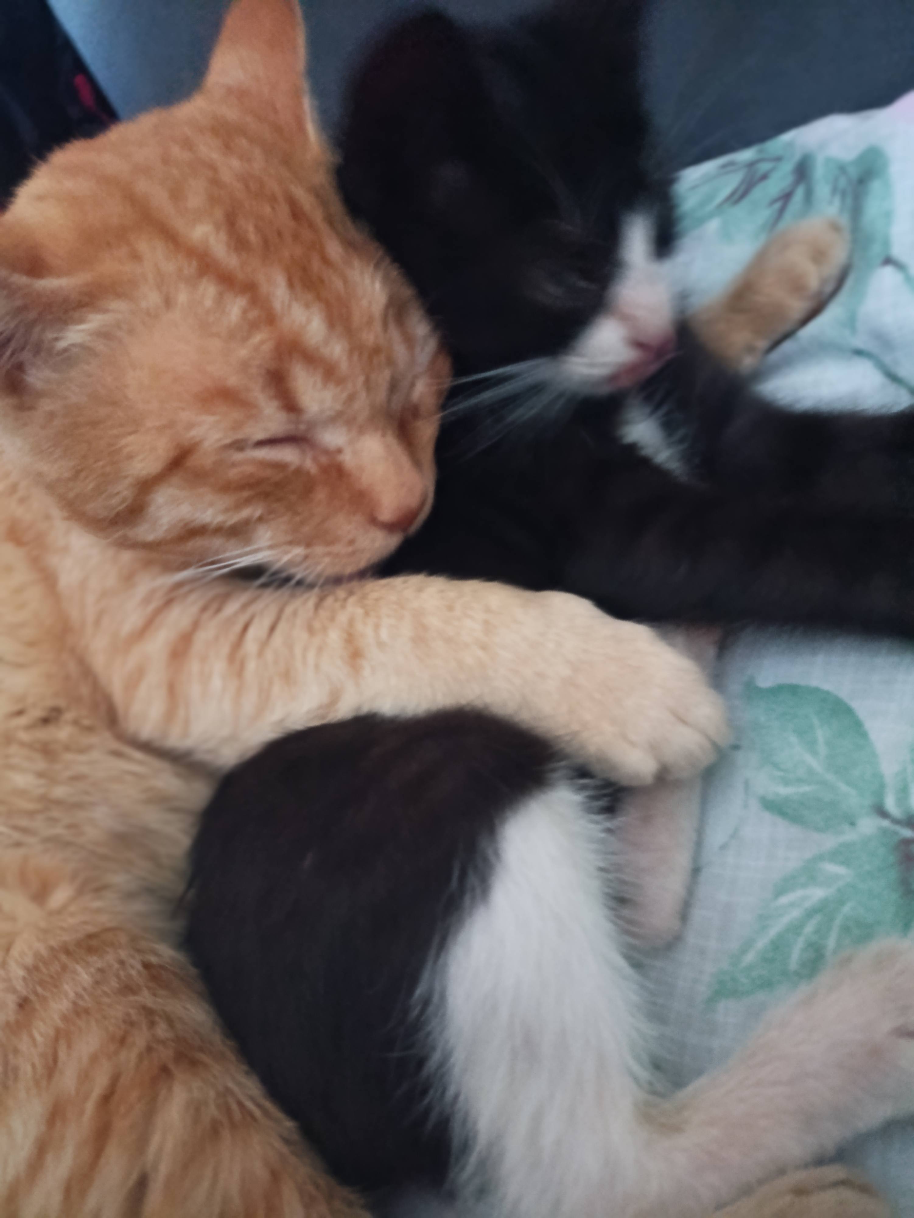 На помощь в решении проблем