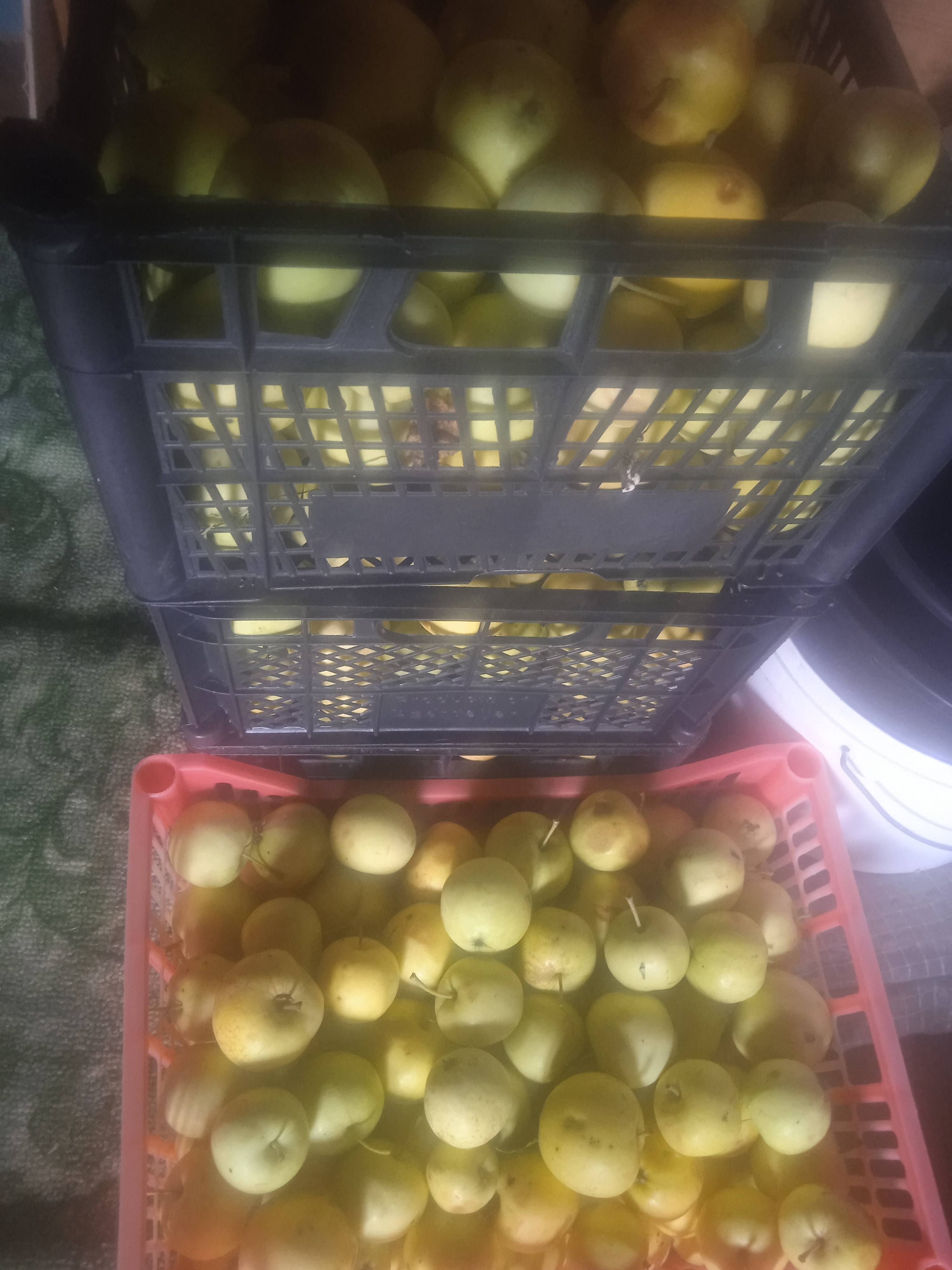 Помогите пожалуйста купить сахара, делать компот🙏