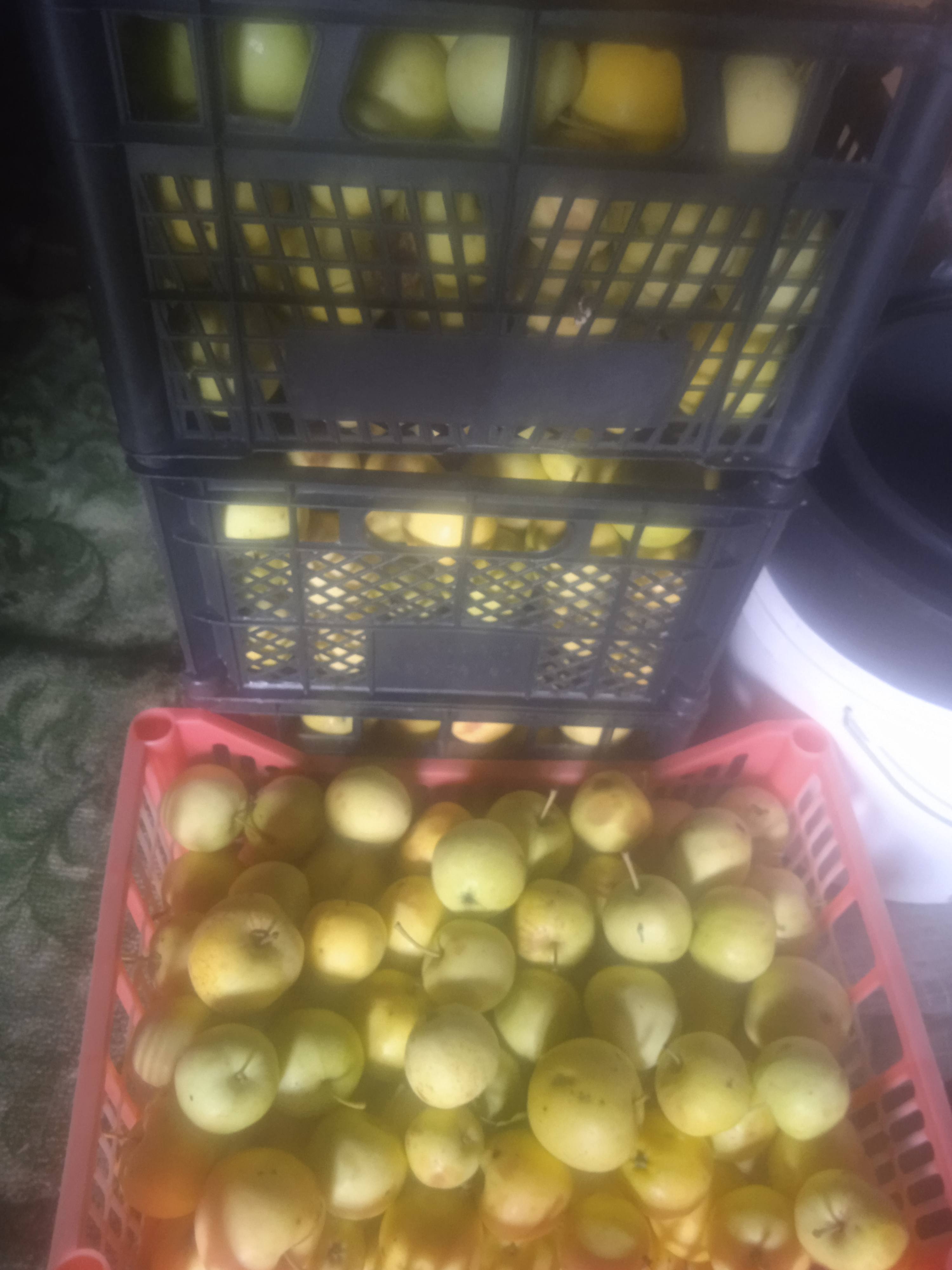 Есть ли возможность помочь купить сахар, на компот