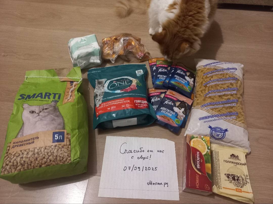 Спасибо за помощь!