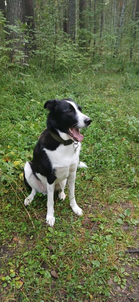 Очень нуждаюсь в помощи