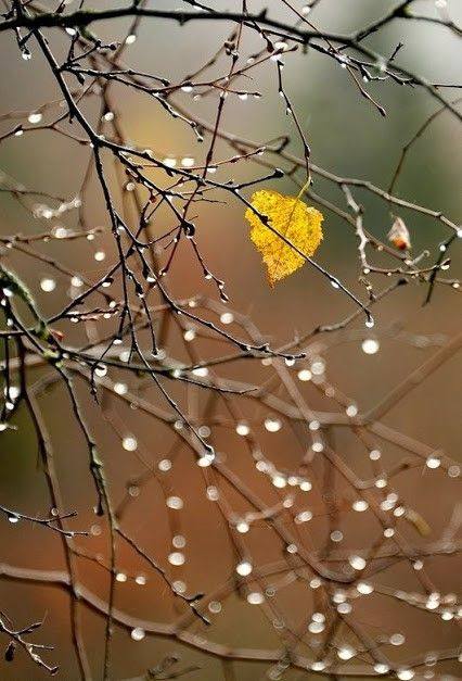 Помогите пожалуйста. Всём мира и добра!🫸🩵🫷