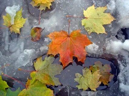 Помогите, если у вас есть на это время и посчитаете нужным.