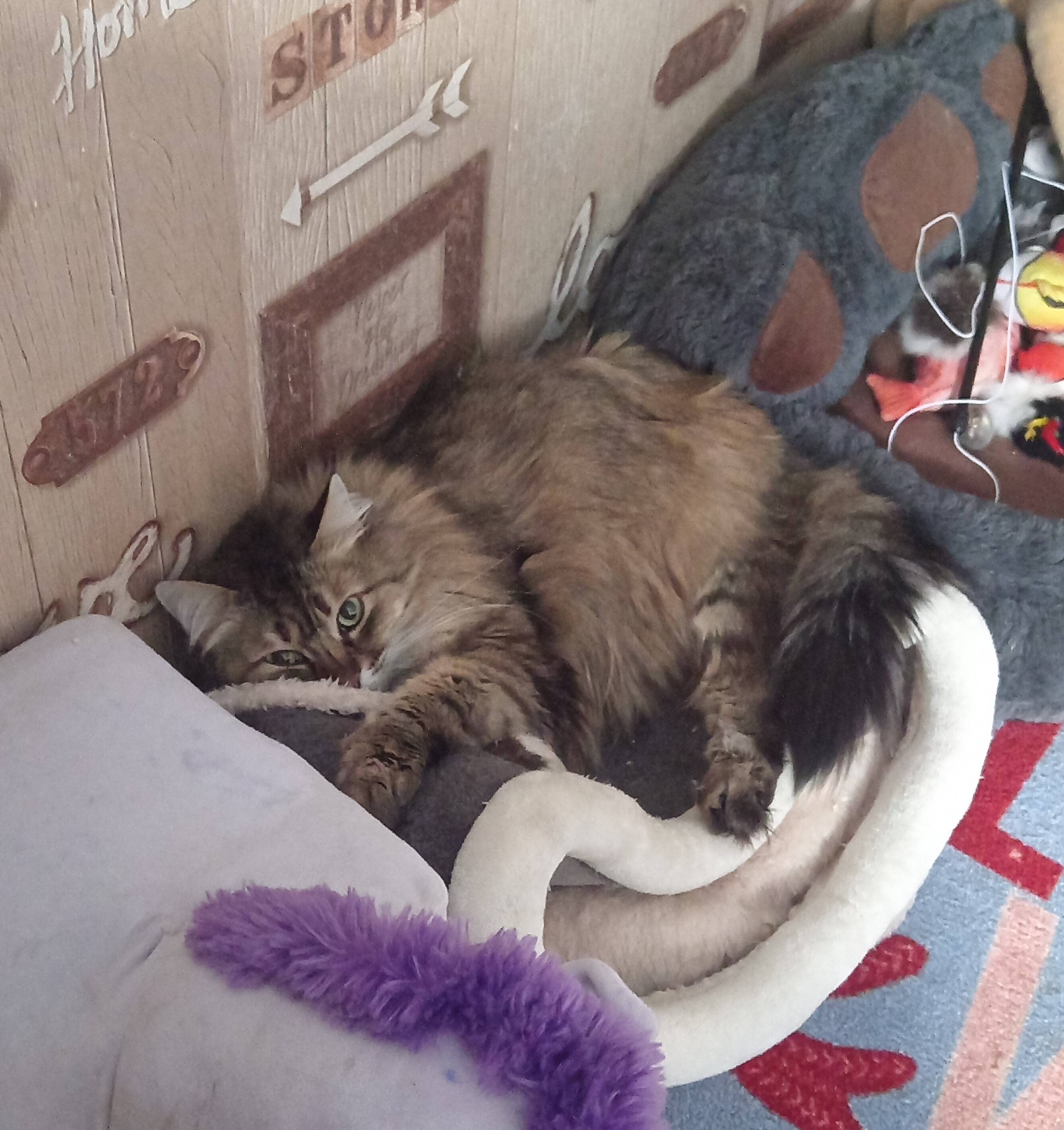 Помогите восстановиться