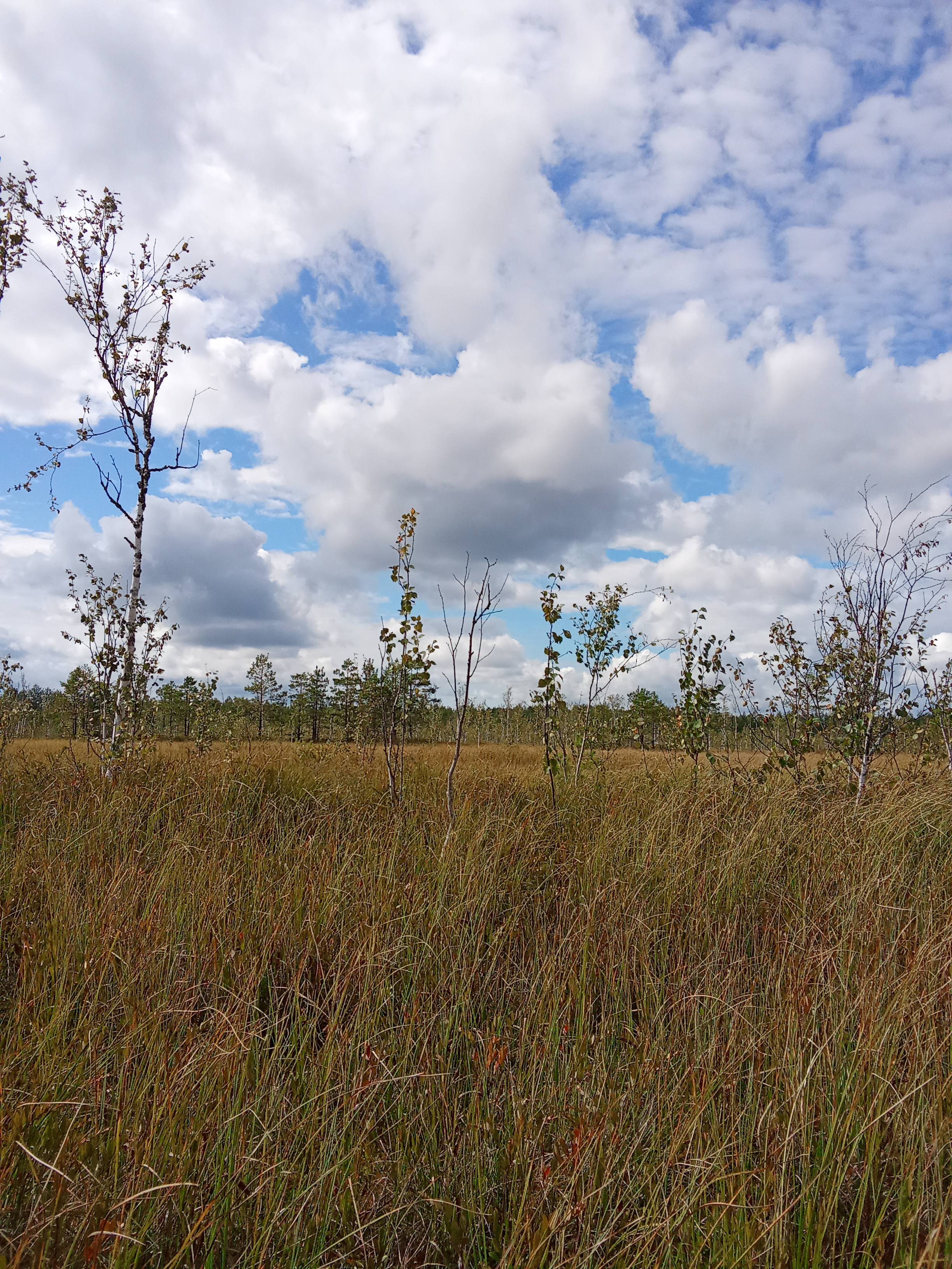 Нужна ваша помощь🌧️🌧️🌧️🌦️🧸🙏