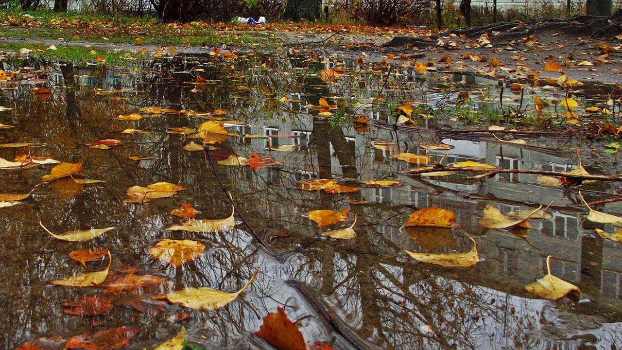 Помогите собрать на ремонт, пожалуйста🙏