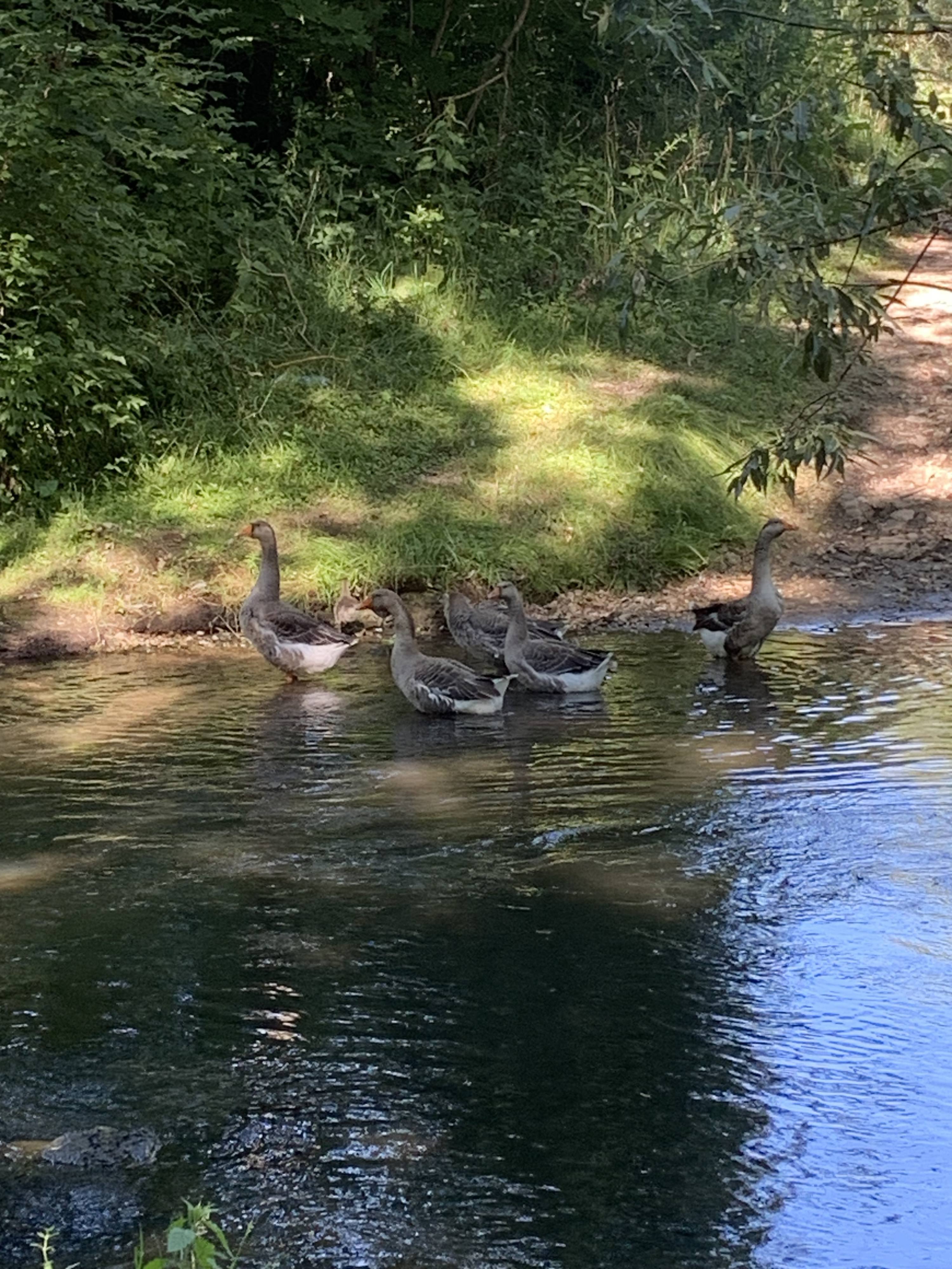 Помогите кто чем может .