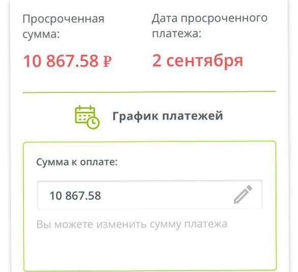 попалась на мошенников