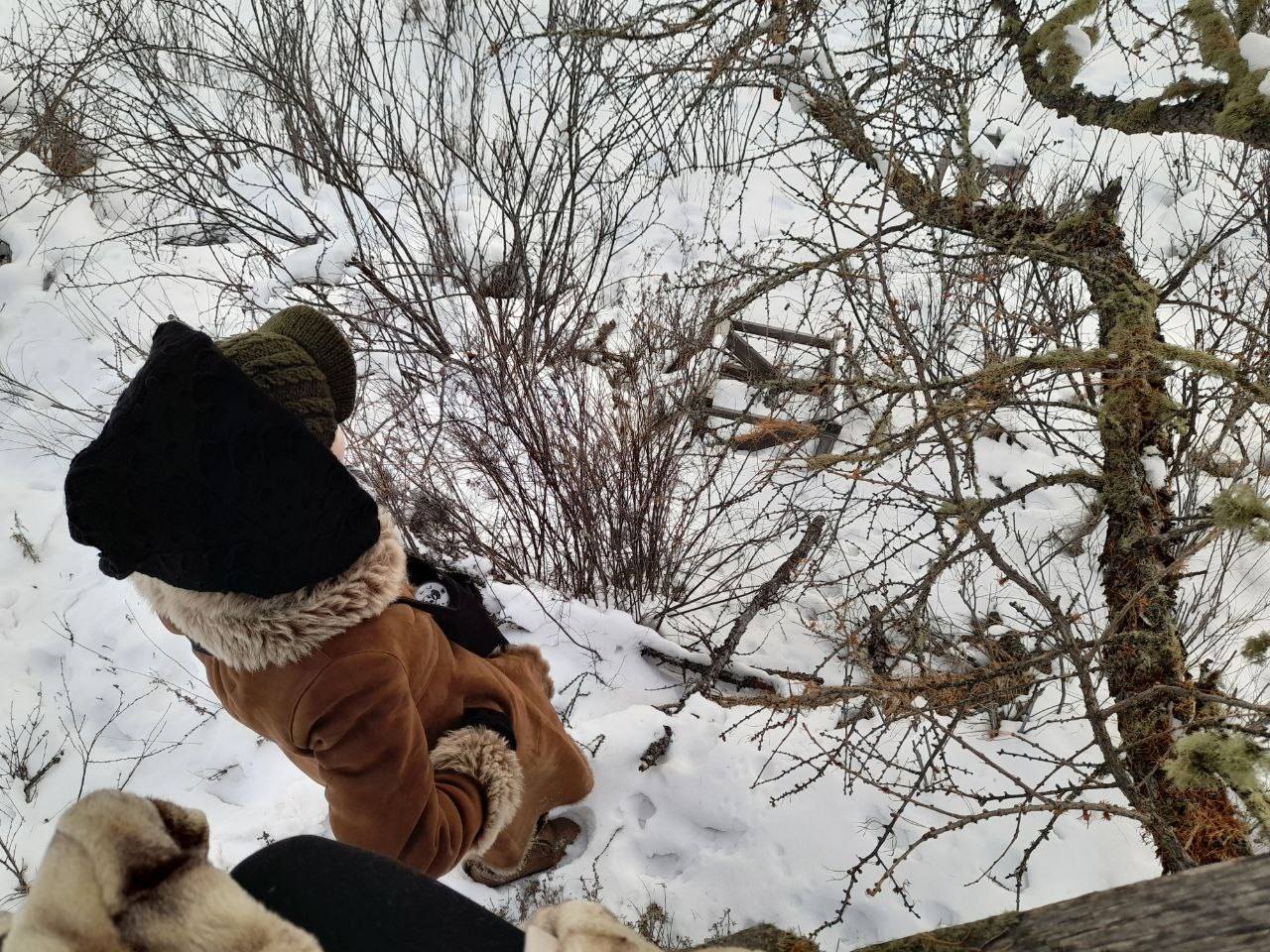 Хочу вернуться в Сибирь