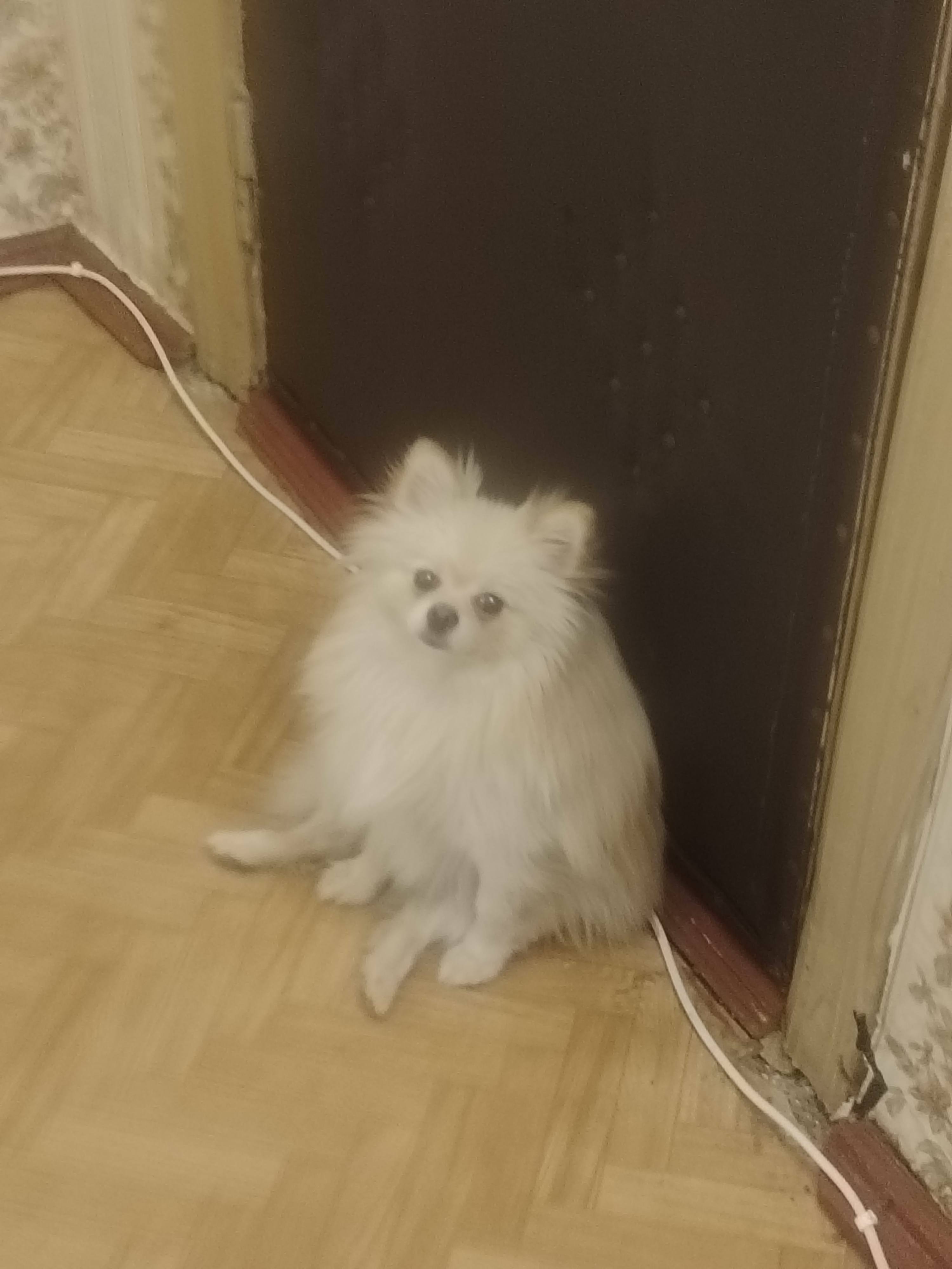 Прошу помощи на еду