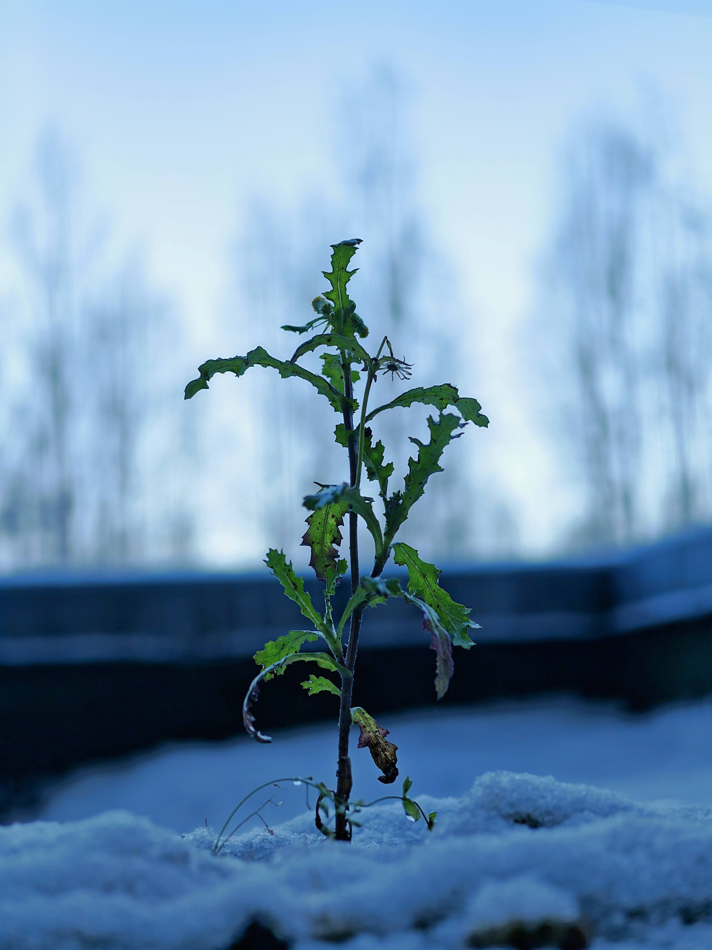 Погасить долги