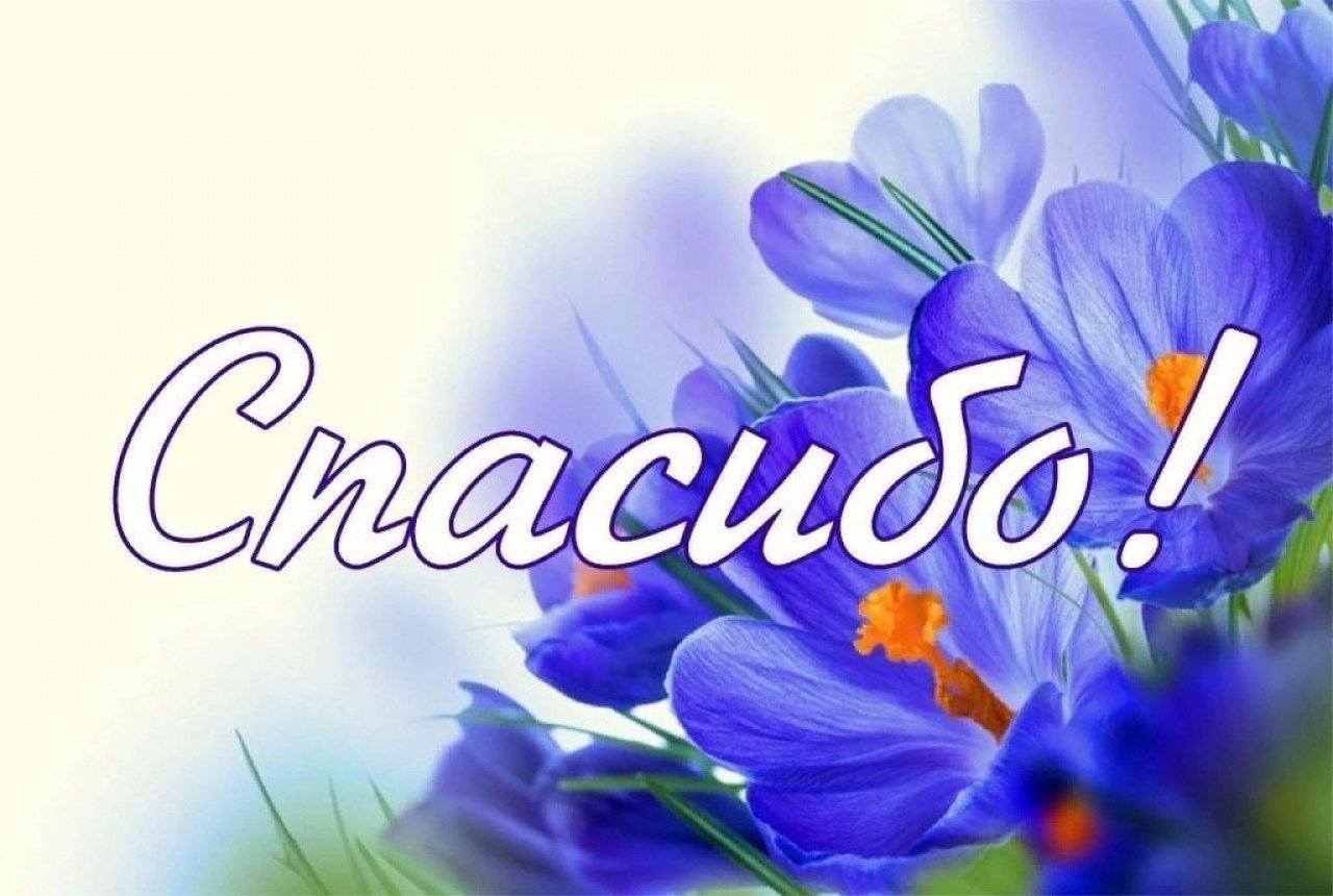 Спасибо за помощь!!!