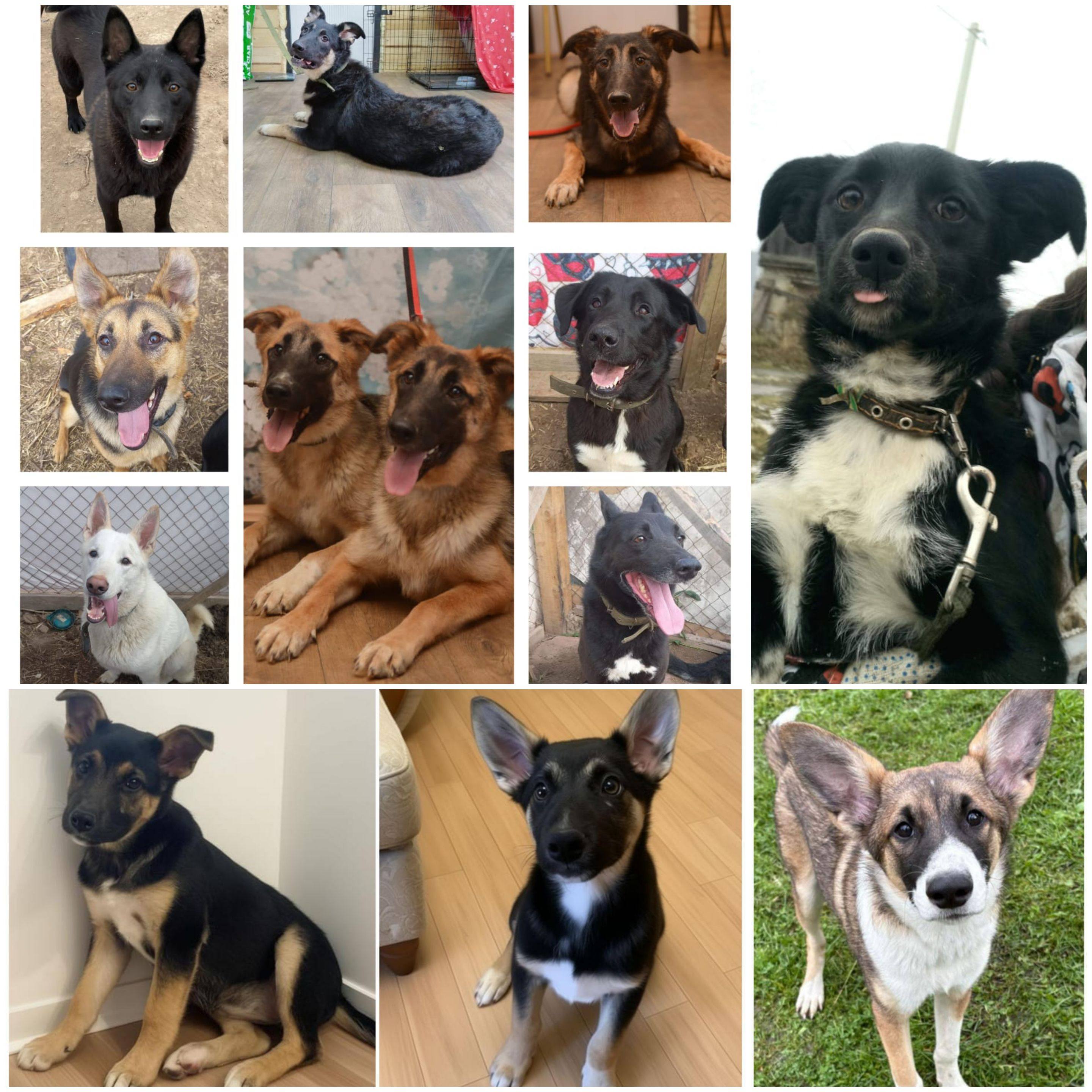 Дорогие люди, очень прошу у вас помощи🙏