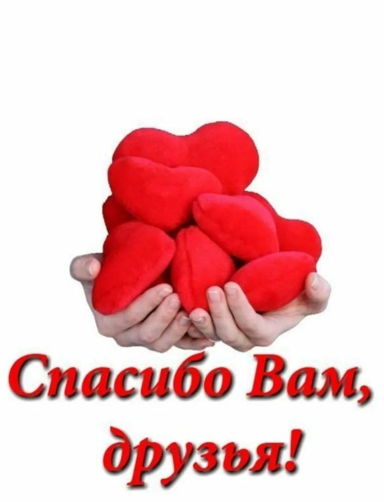Просто на еду, до завтра 💝🙏🏻И низкий поклон!!!