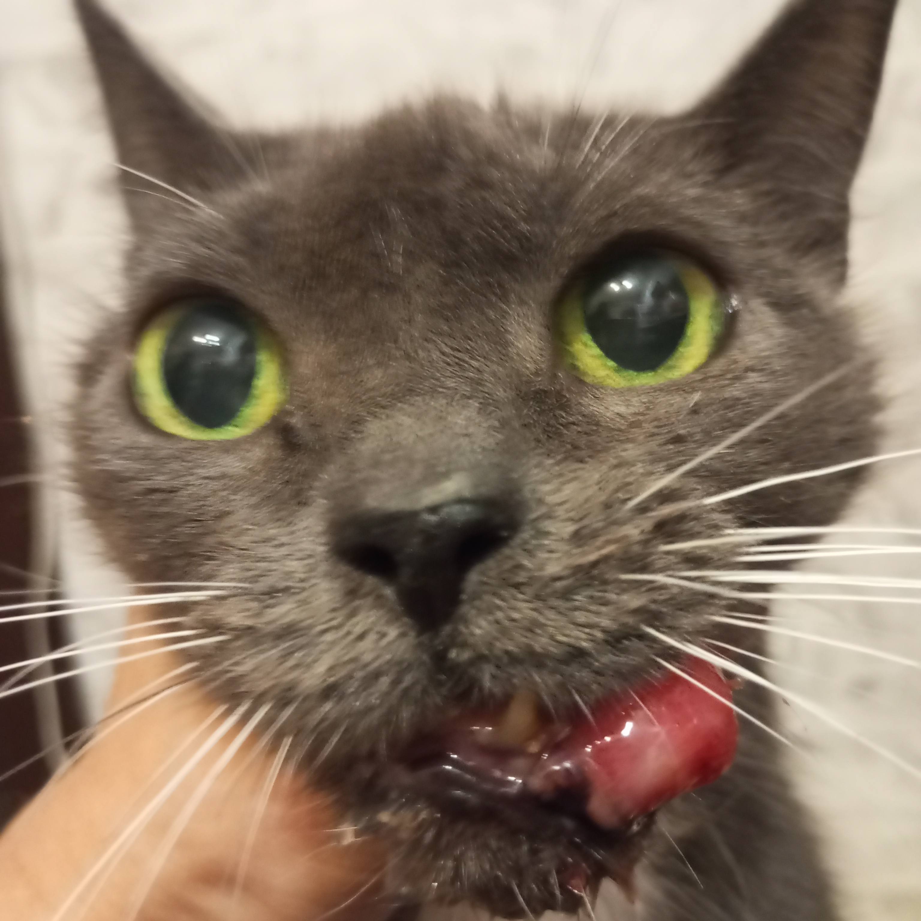 Мне 15 и я очень прошу помощи!! Помогите!!!