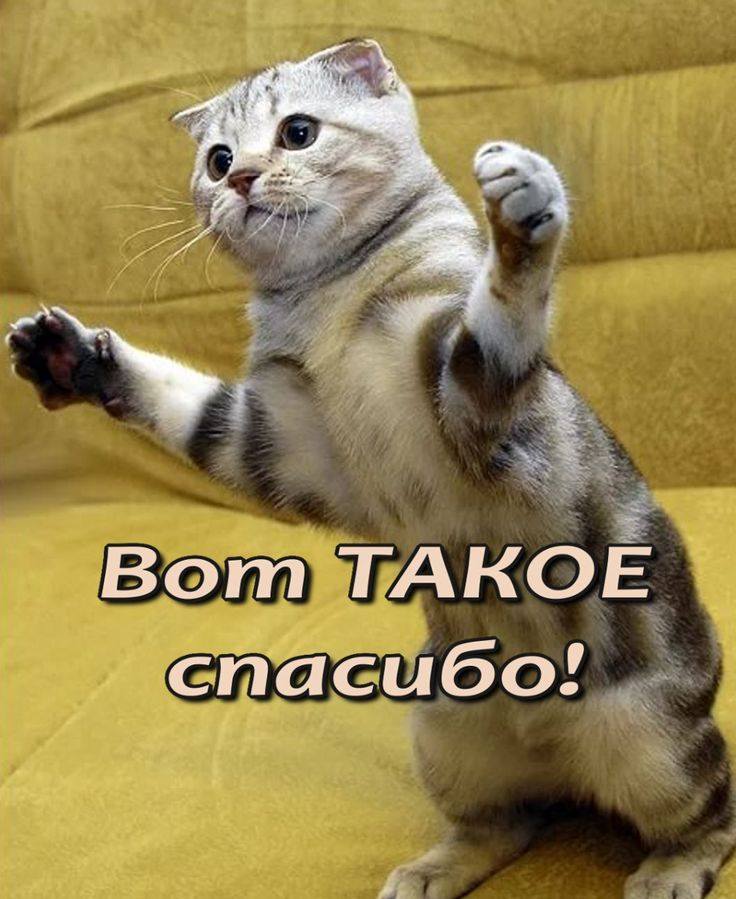 Пожалуйста, помогите купить ноутбук для учебы🥺🥺