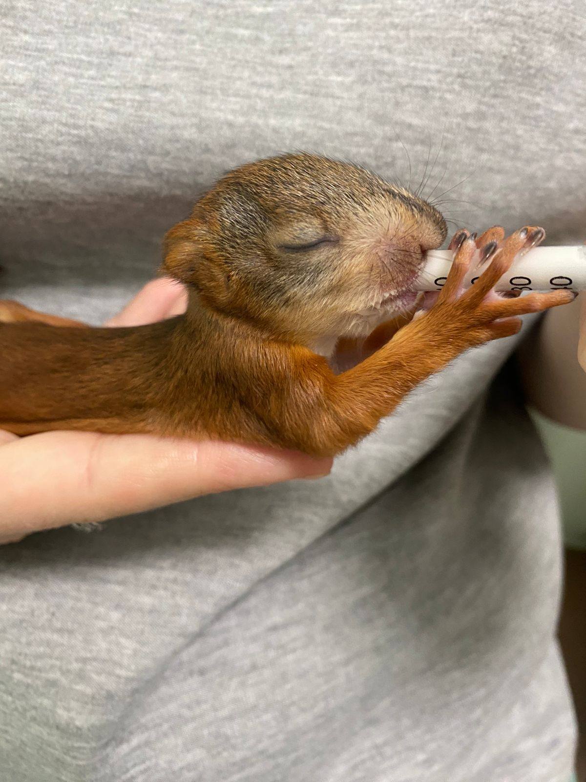 Помогите начать хорошее дело