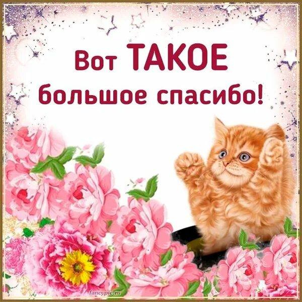 Низкий поклон Регина Владимировна и Наталья! 💗🙏