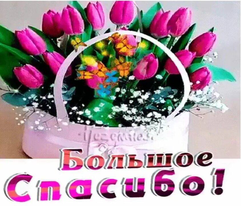 Добрый Ангелочек и Регине Владимировне спасибо🙏🥰