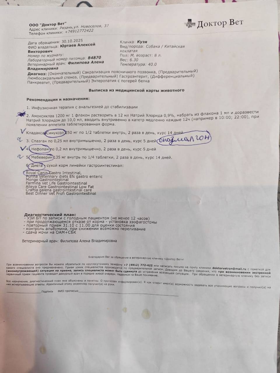 Помогите вылечить собаку