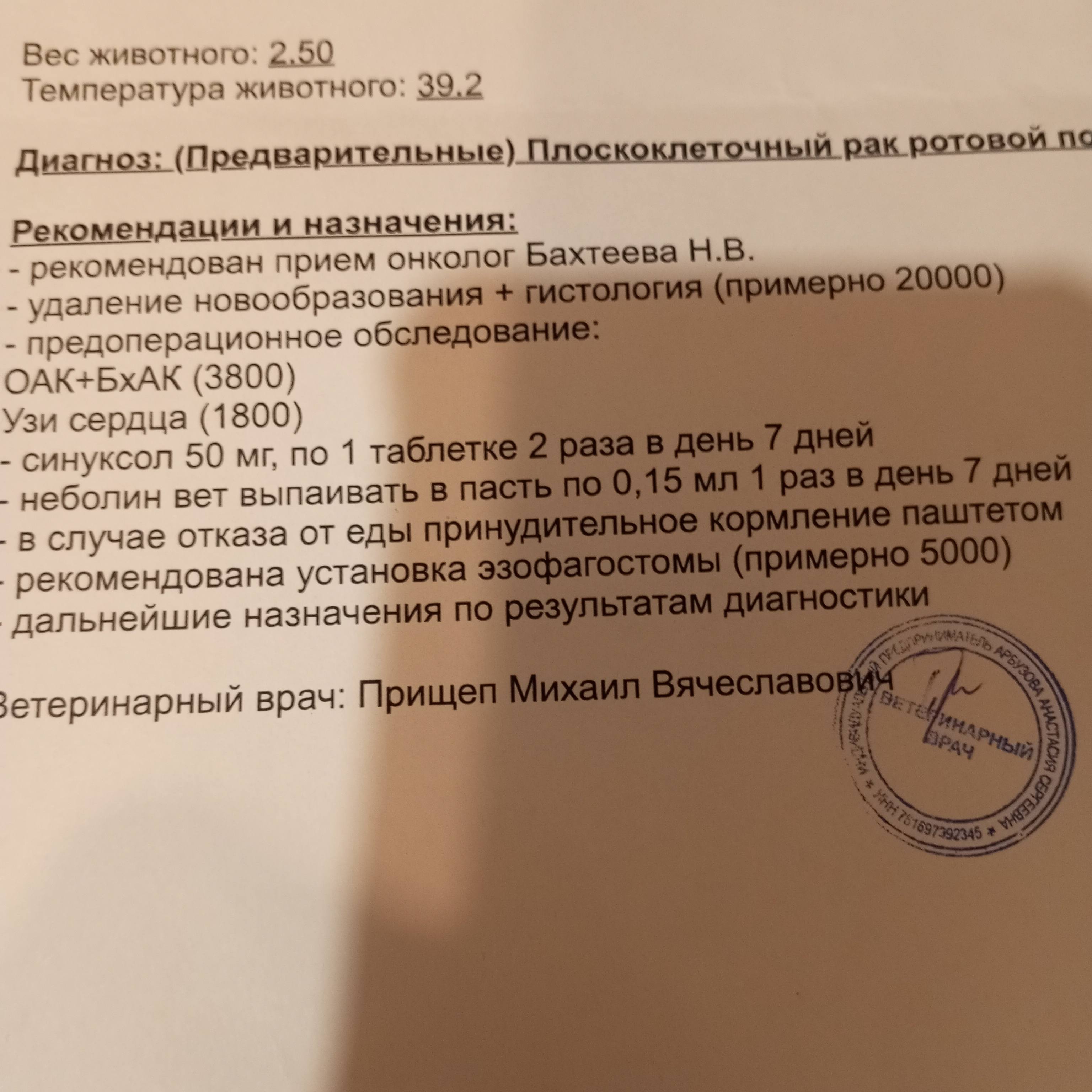 Моей Марте ещё хуже. Свозили к ветеринару.