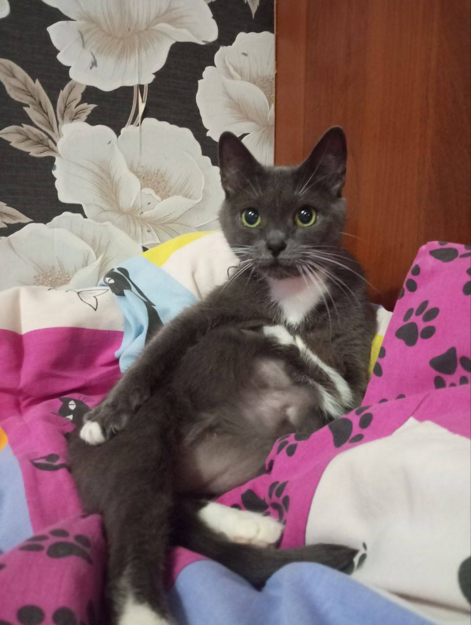 Шанс на жизнь для Марты!