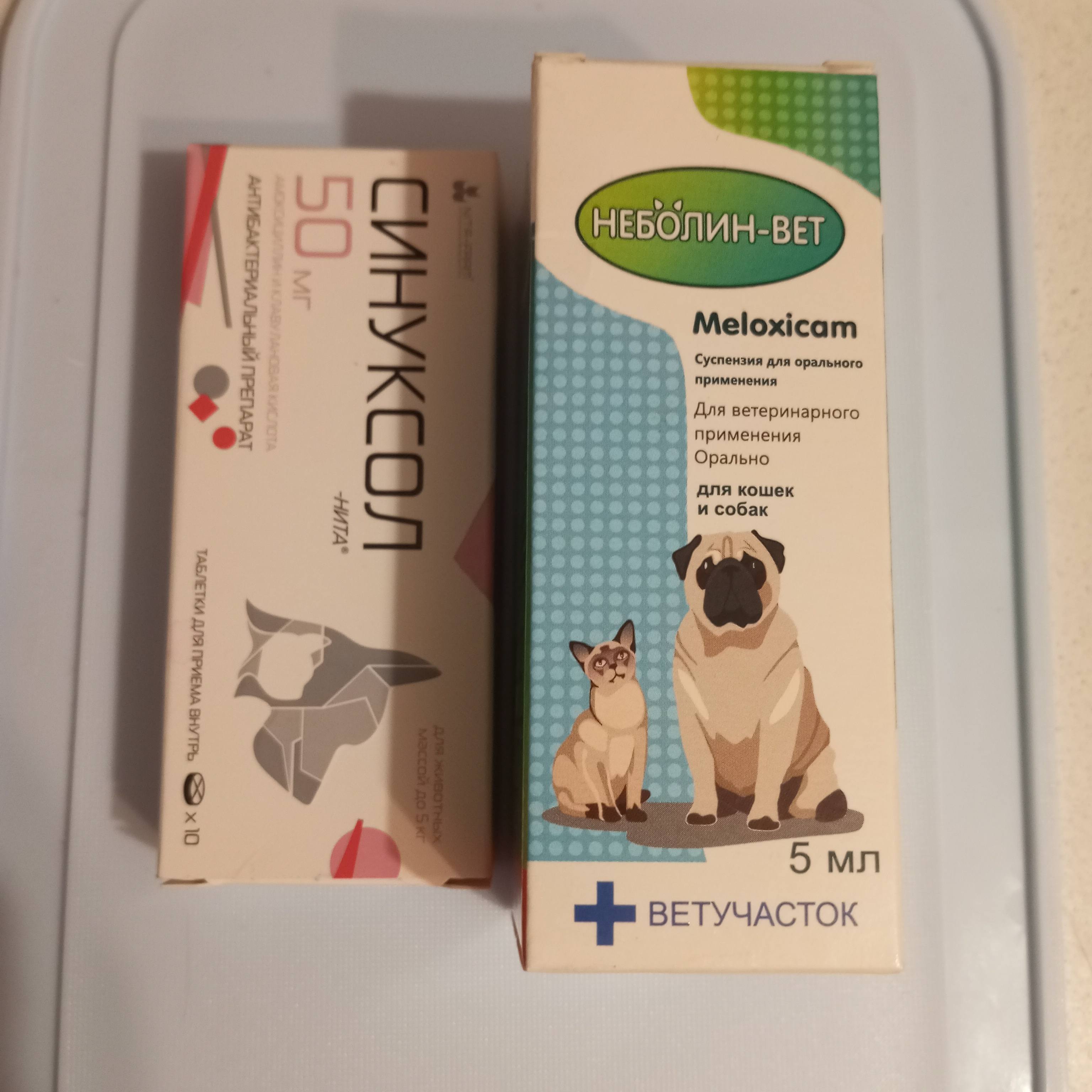 Буду просить вас до последнего. Спасите мою Марту.