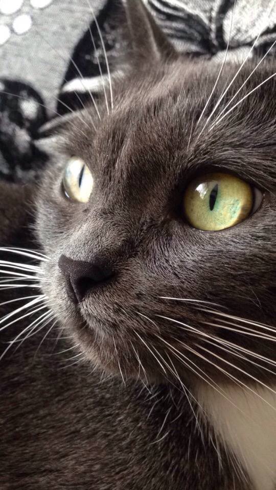 Большая благодарность от нас с Мартой для вас всех