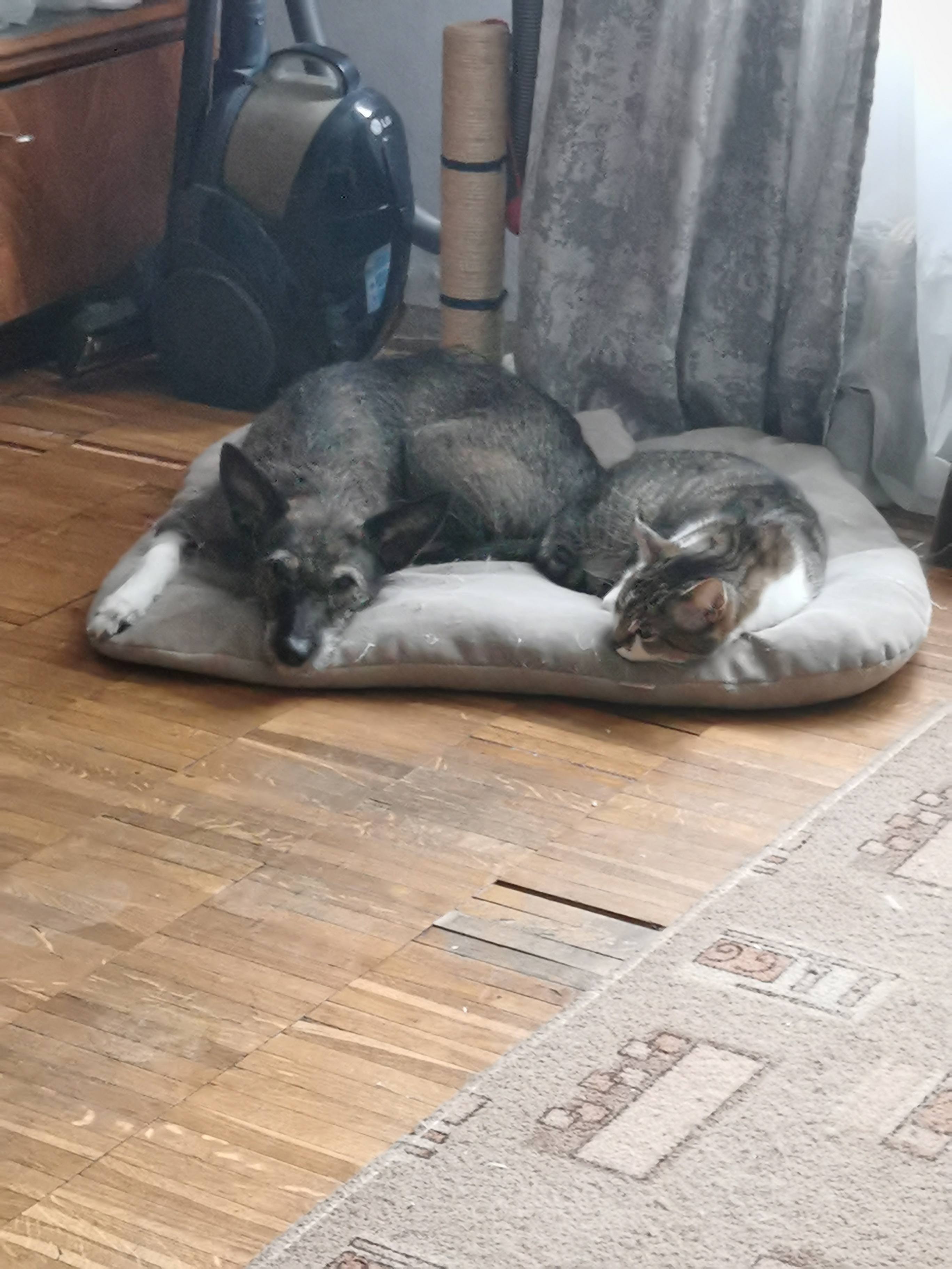 Помогите переехать