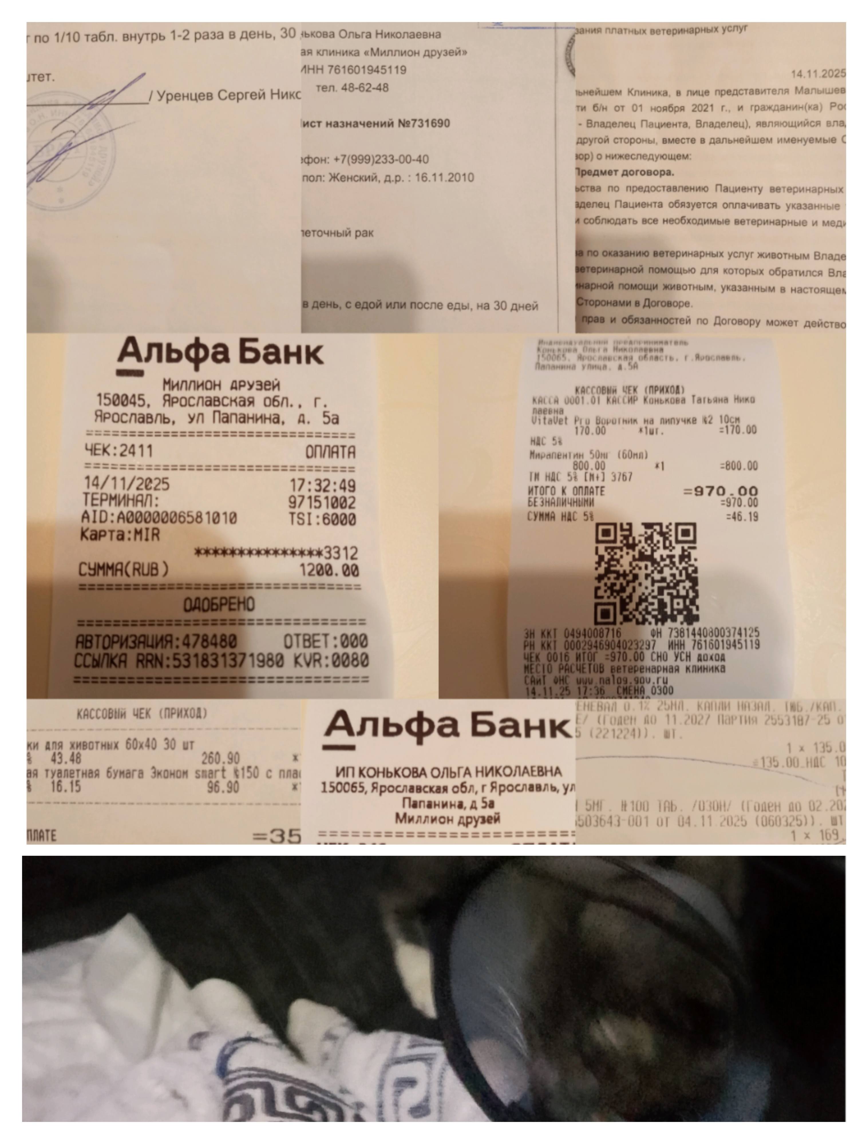 Операция Марты