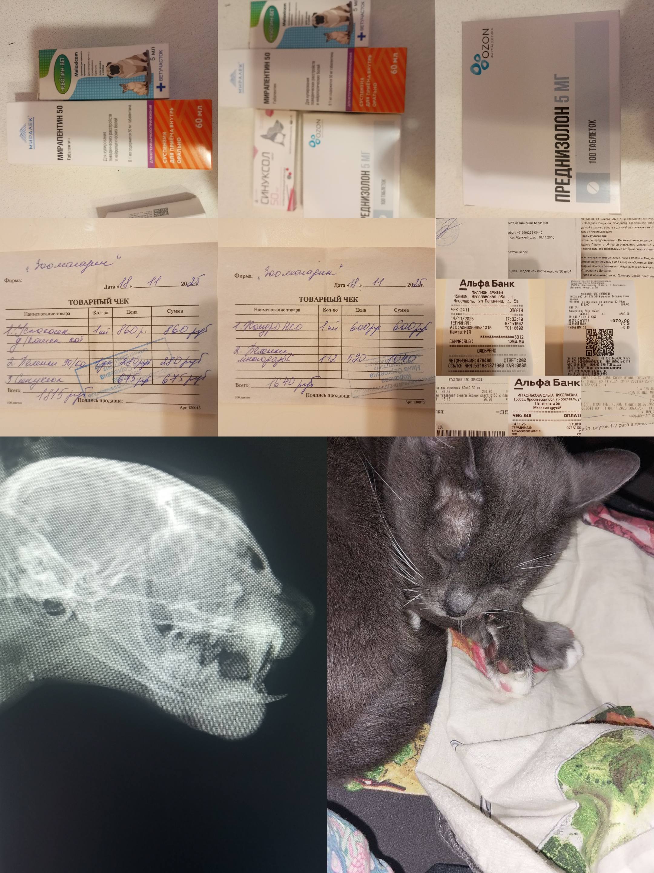 Надежда, молитва, ангел хранитель, семья, Марта, в