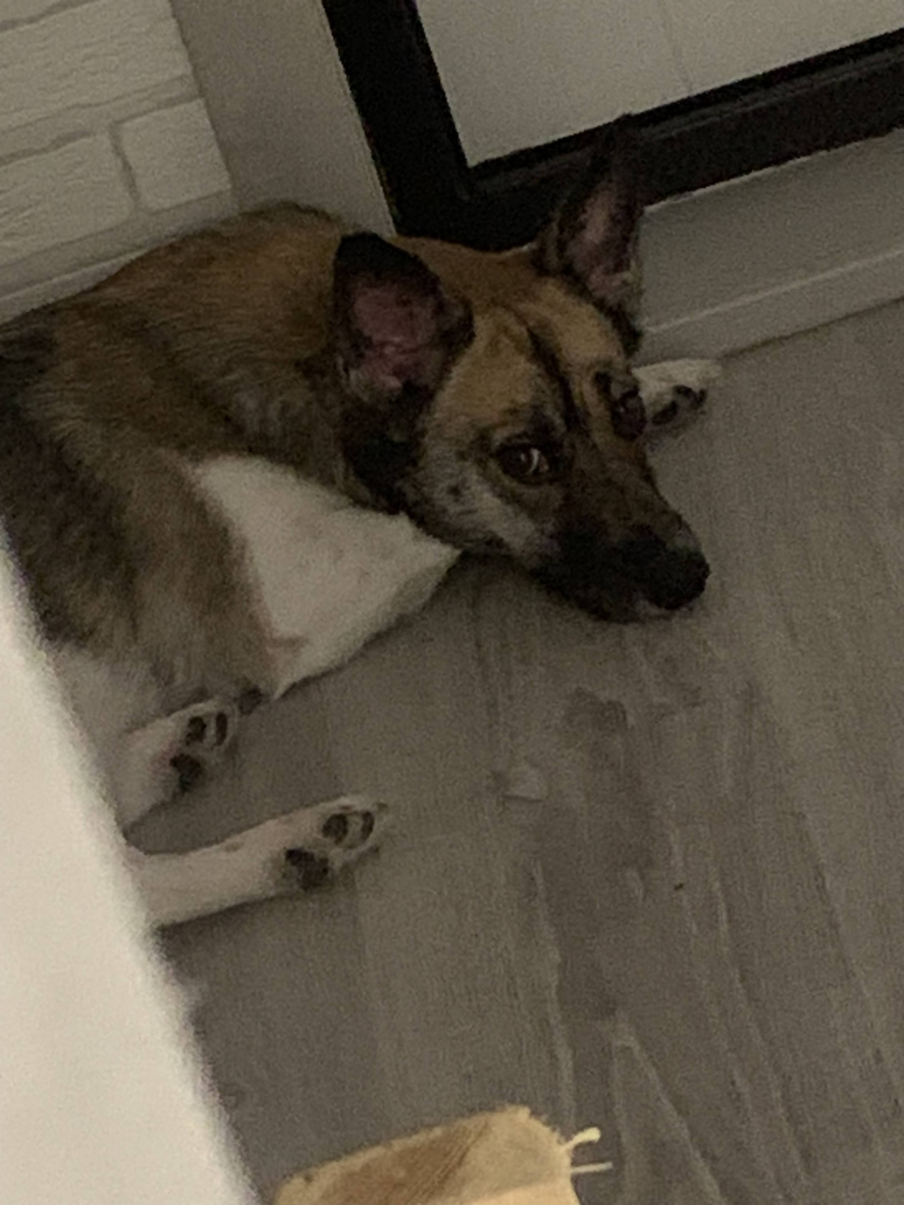 На лекарства