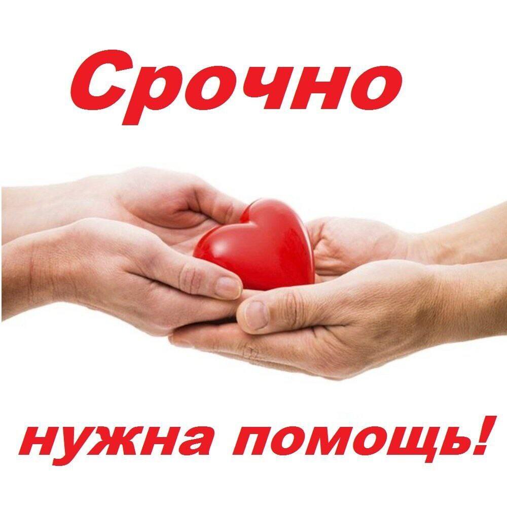 Ради Бога,прошу помочь,жизнь меняется,не успеваю🙏