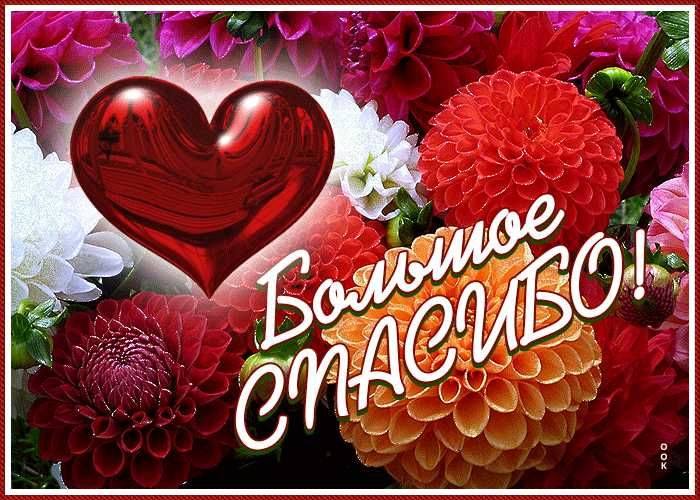 Сердечная благодарность, от всей души спасибо! 💓